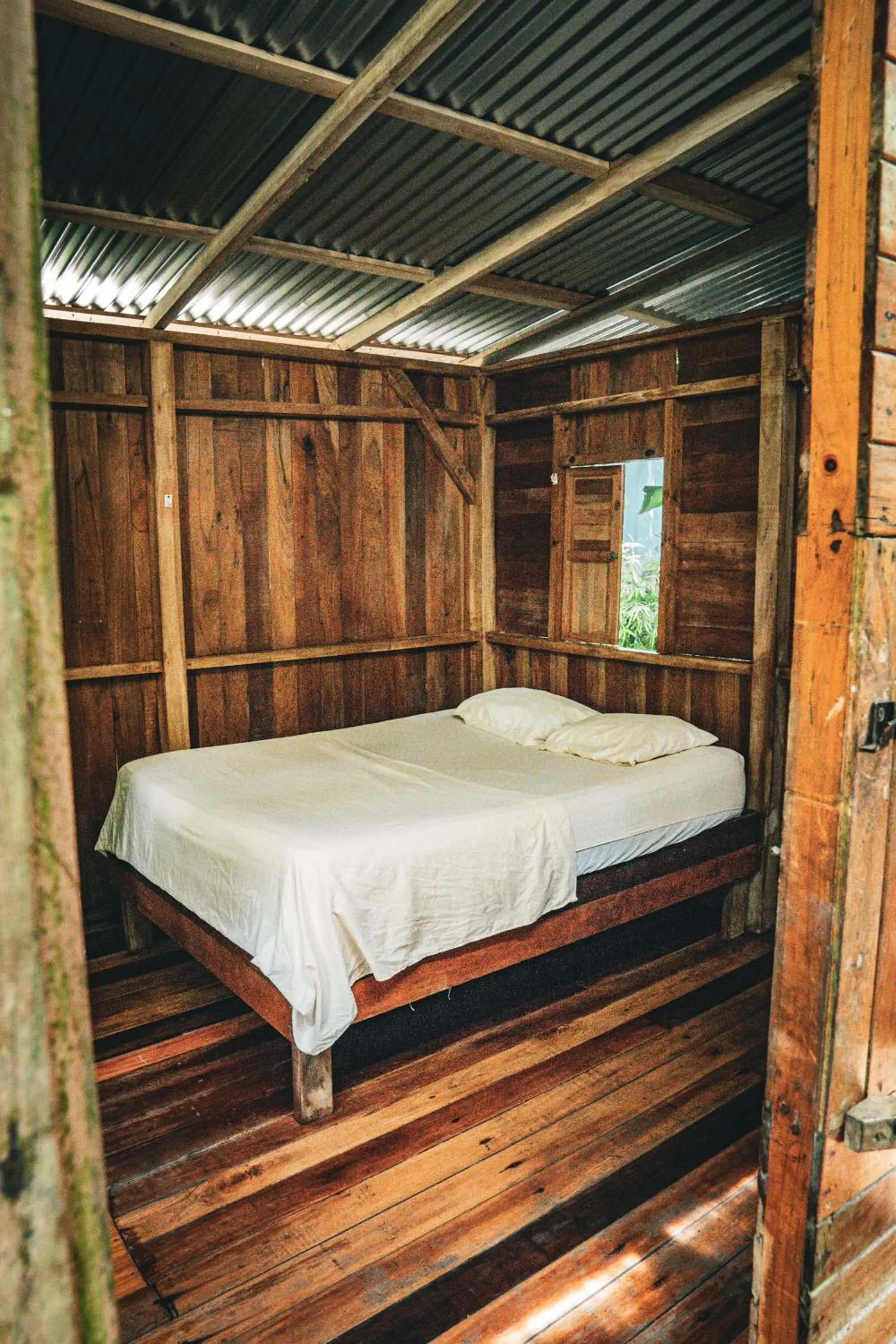 Bed in Flutterby House Hostel