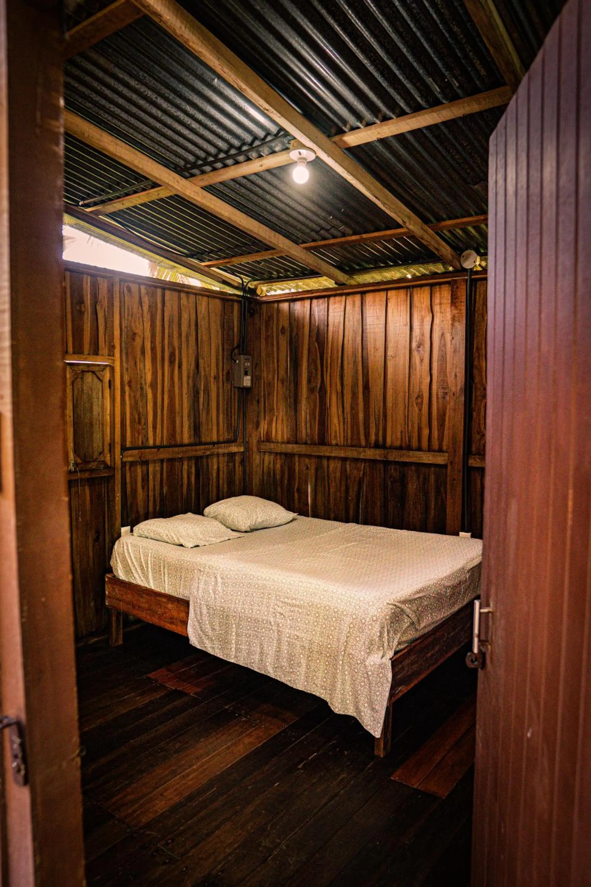 Bed in Flutterby House Hostel