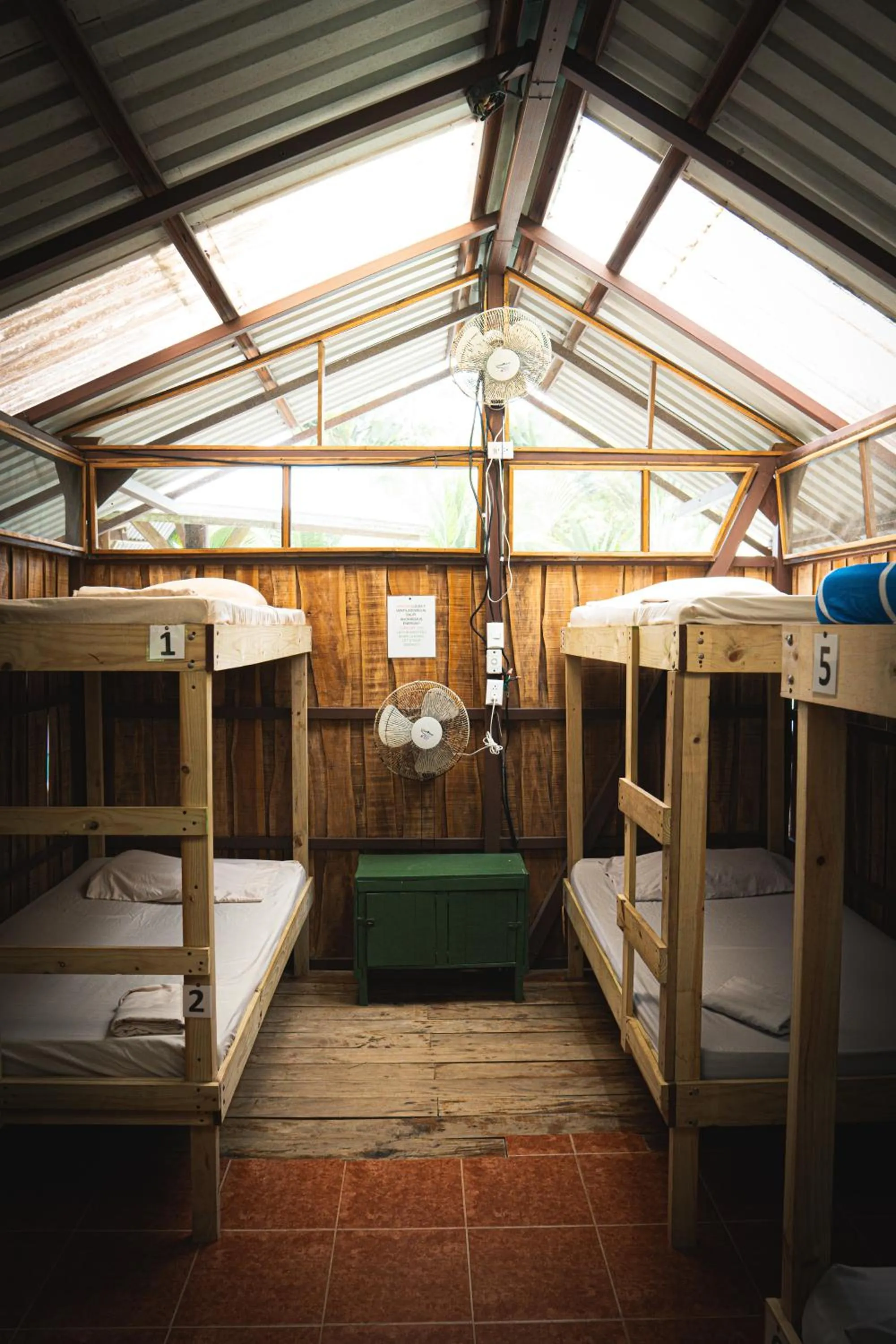 Bed in Flutterby House Hostel