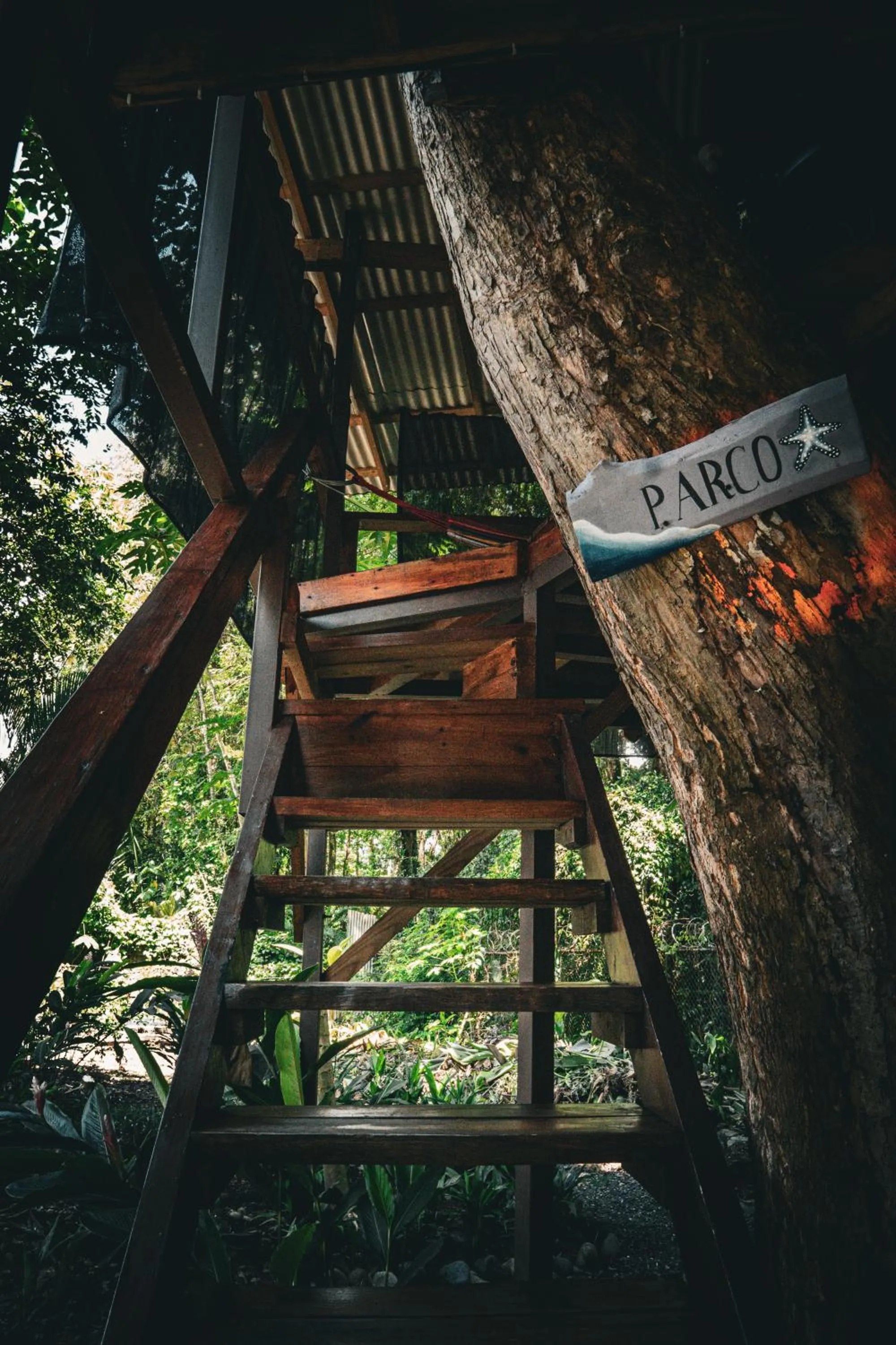 Natural landscape in Flutterby House Hostel