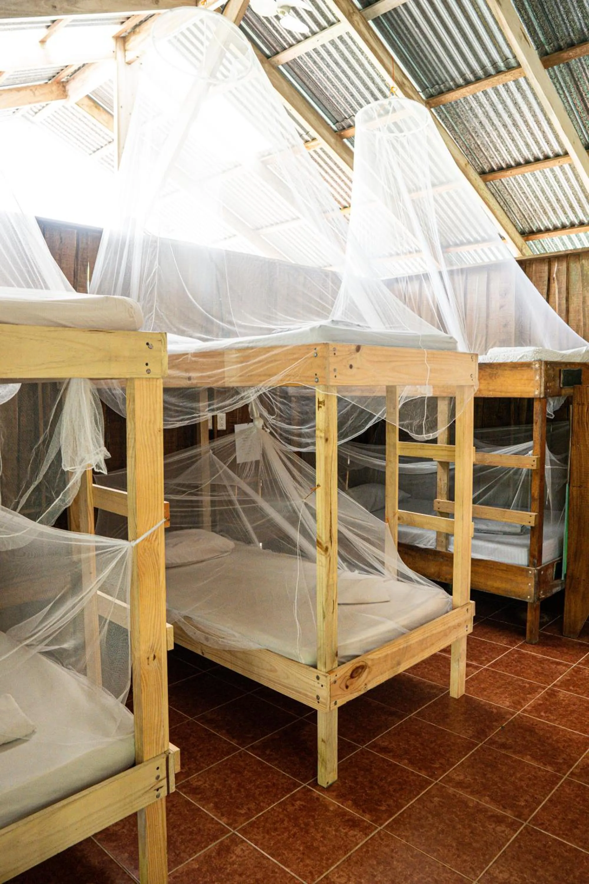 Bed in Flutterby House Hostel