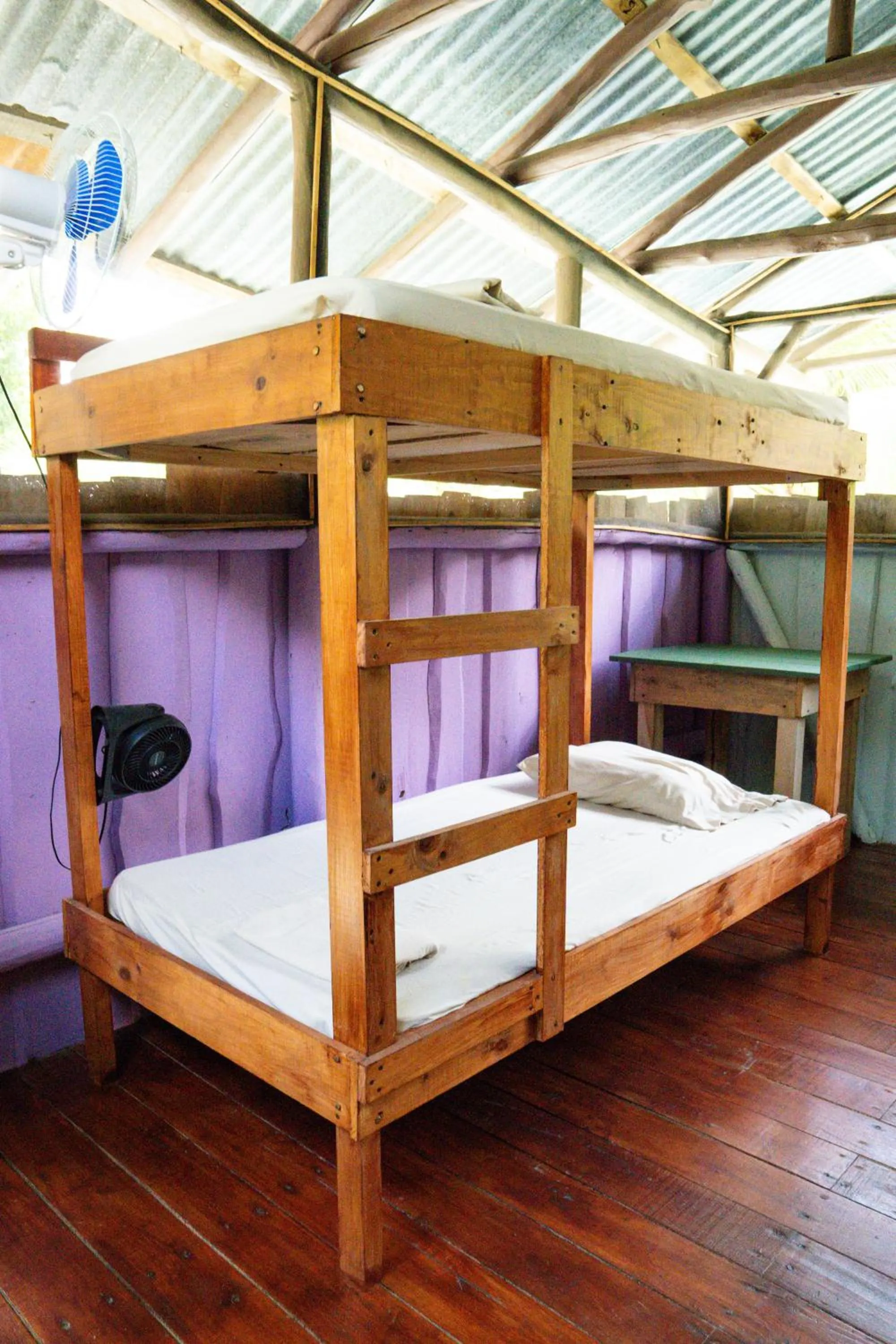 Bed in Flutterby House Hostel