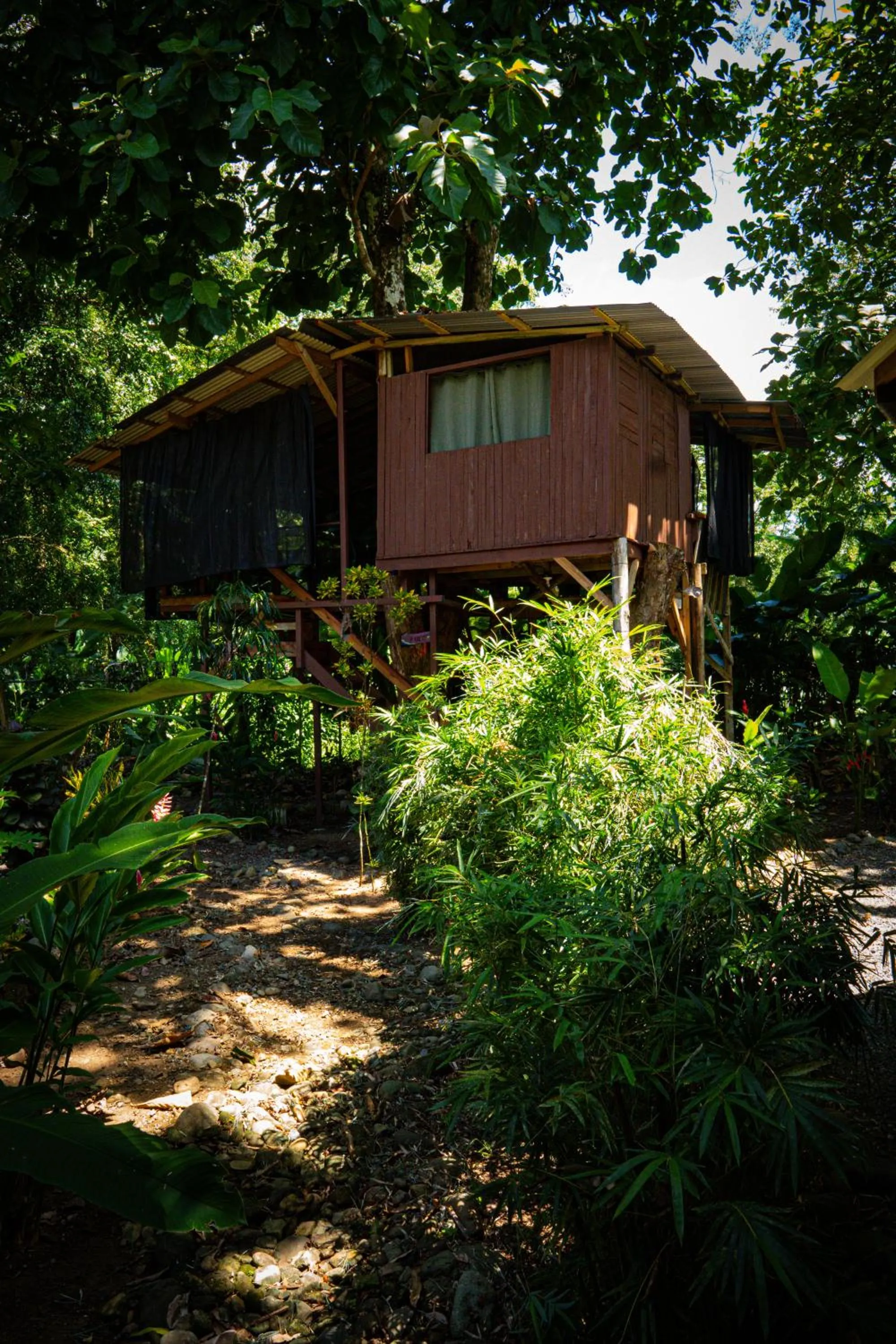 Natural landscape in Flutterby House Hostel