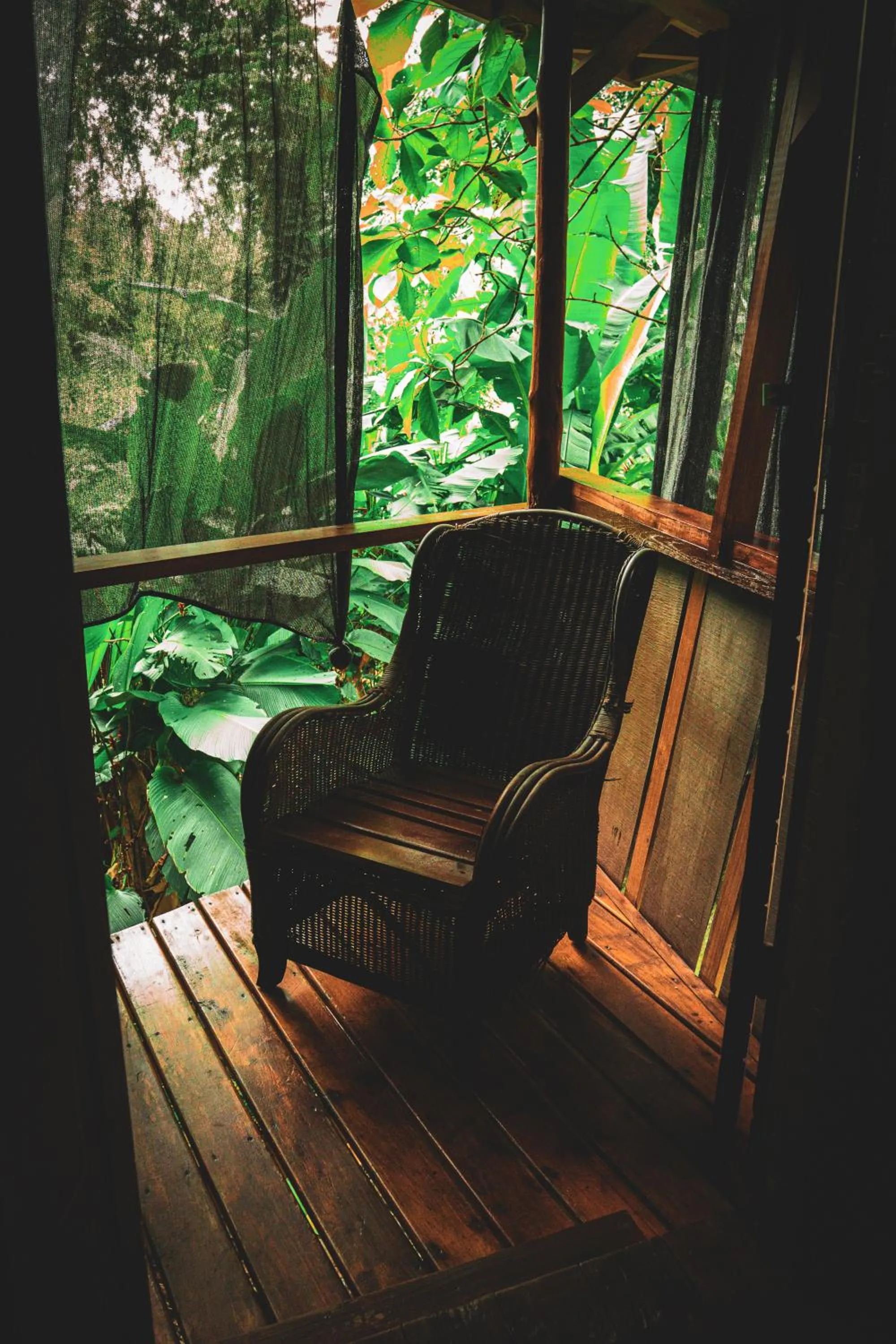 Natural landscape in Flutterby House Hostel