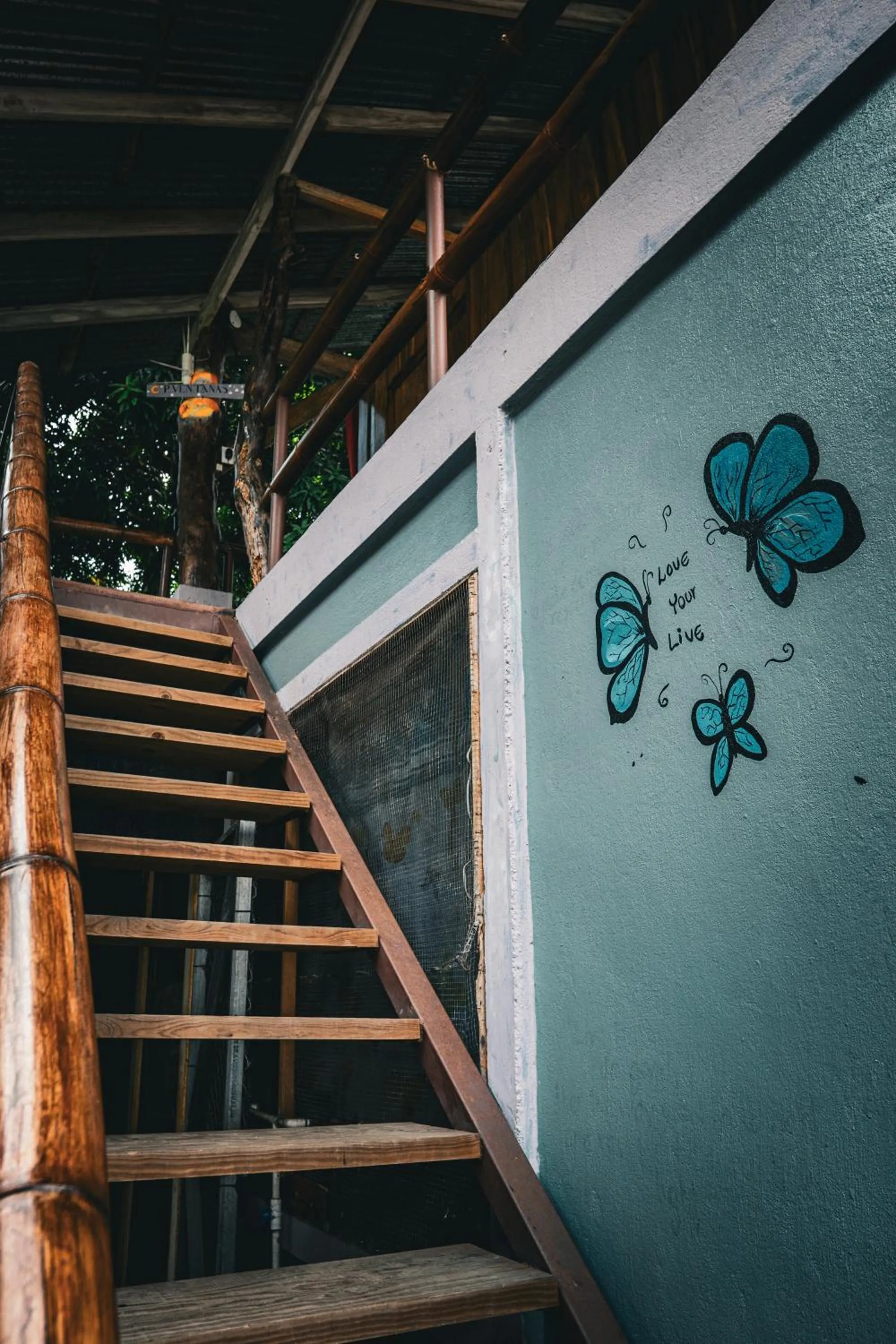 Flutterby House Hostel