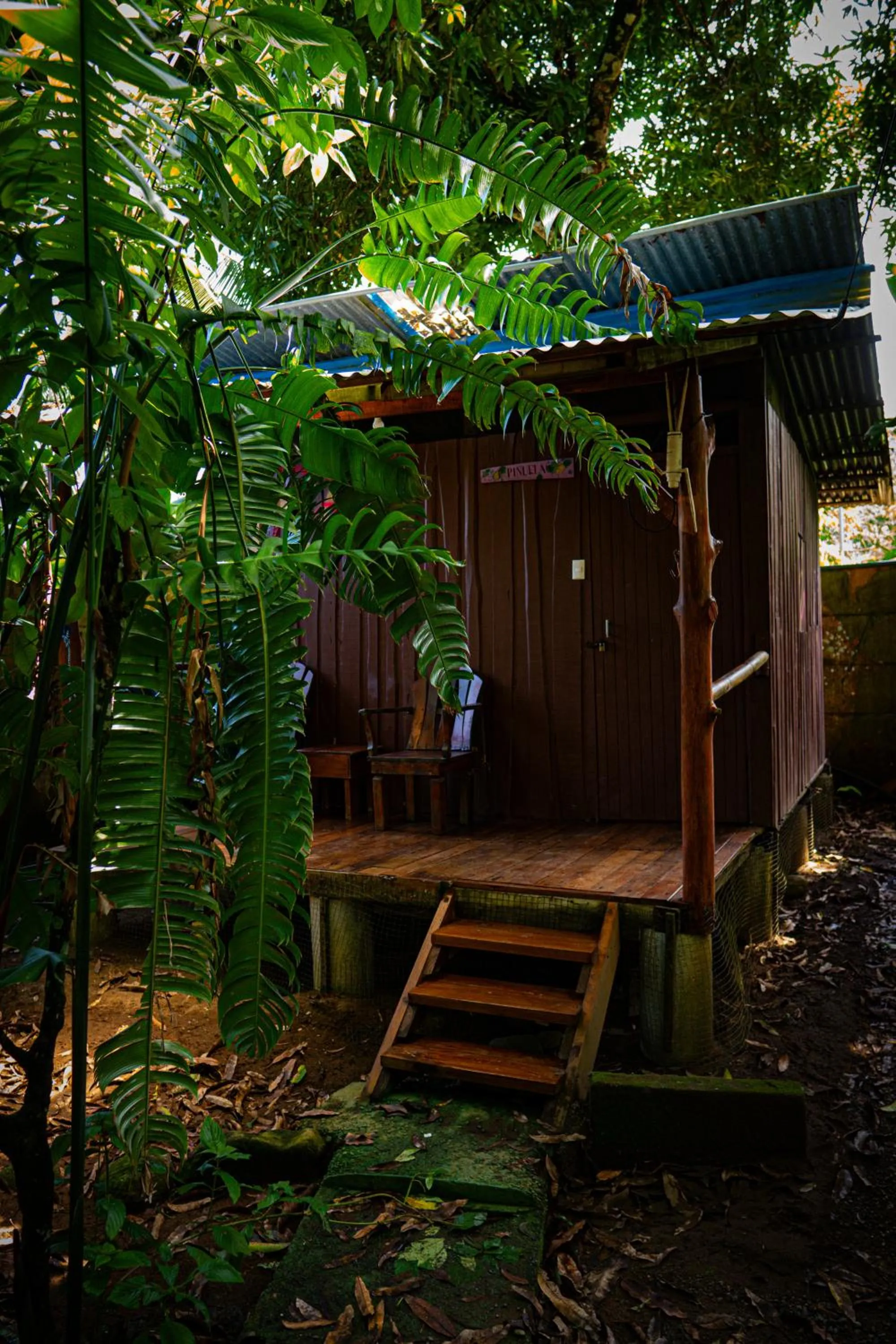 Natural landscape in Flutterby House Hostel