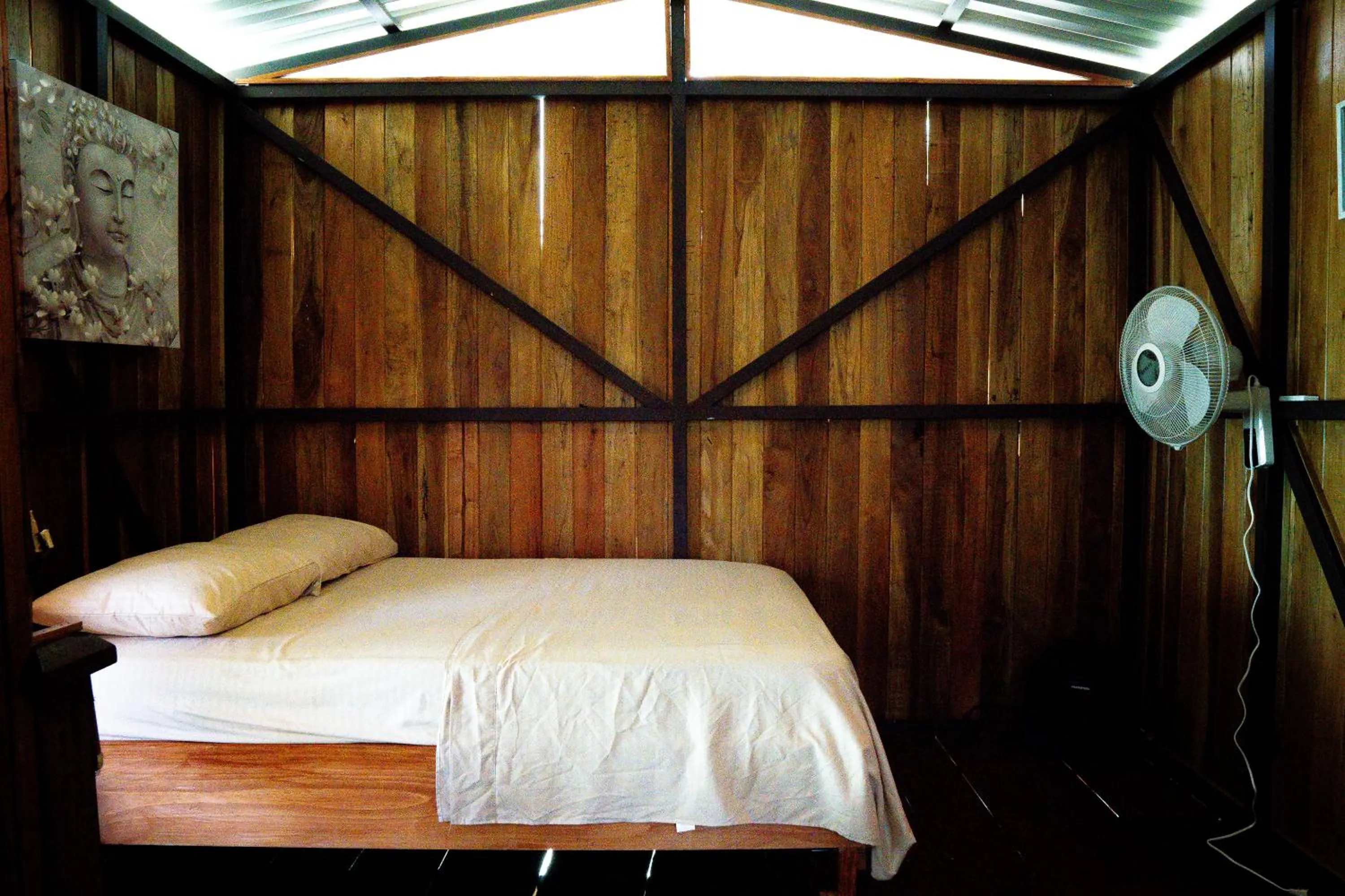 Bed in Flutterby House Hostel