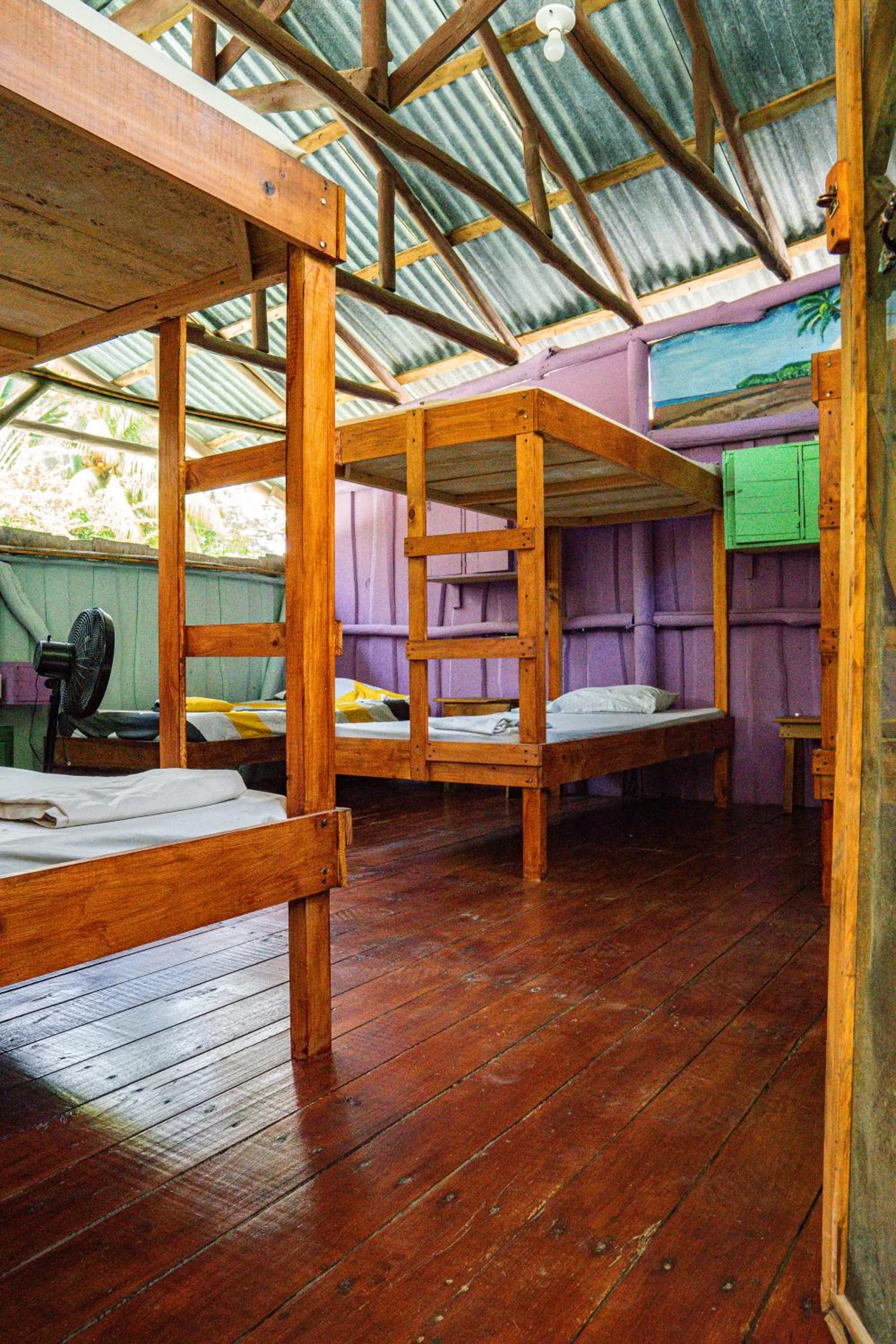 Bed in Flutterby House Hostel