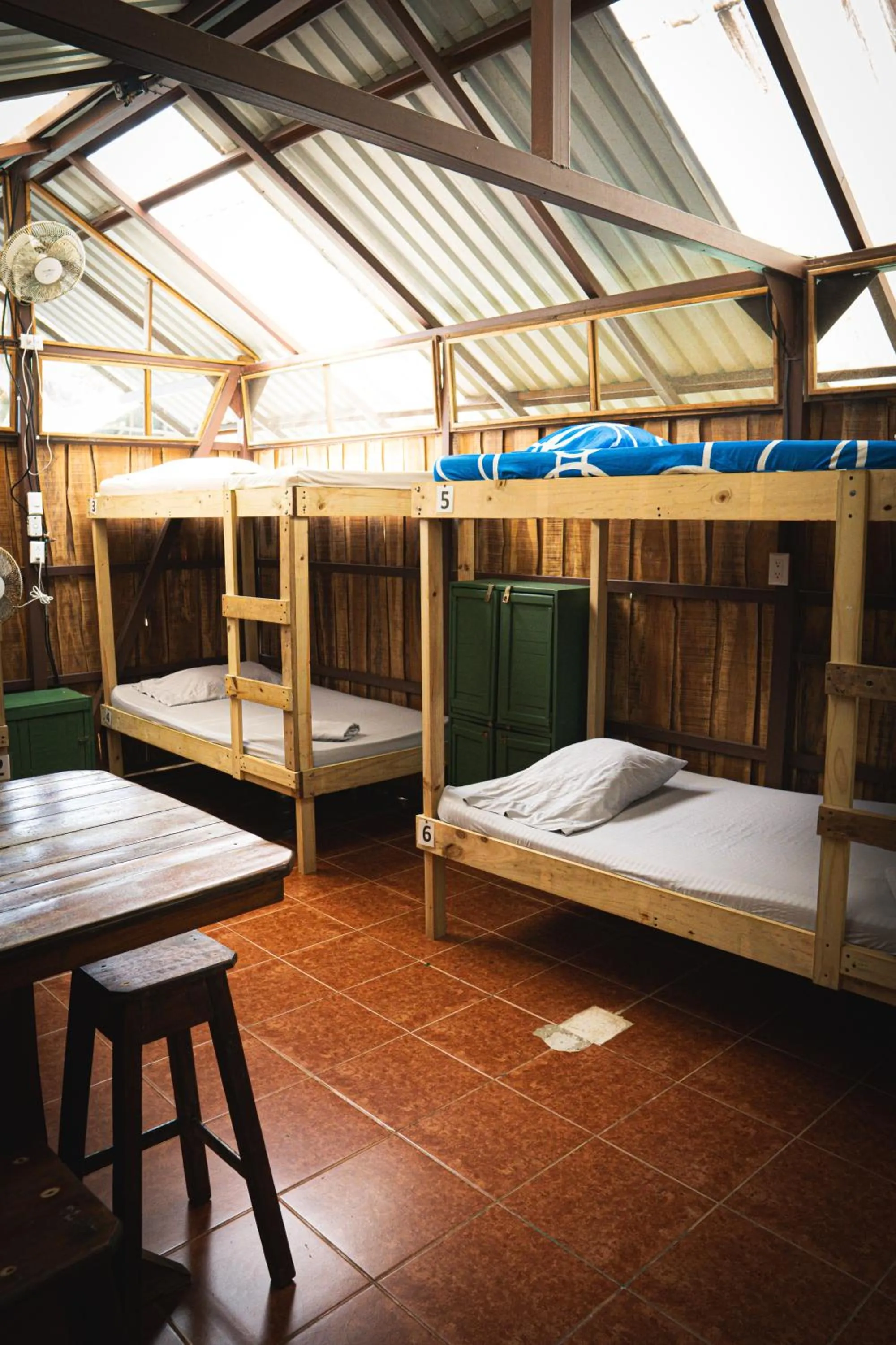 Bed in Flutterby House Hostel