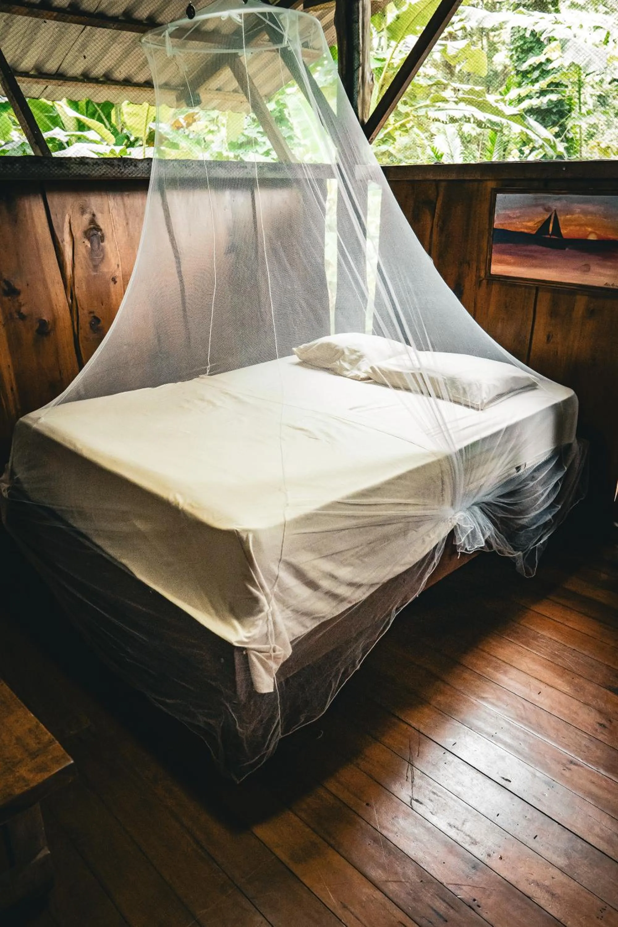 Bed in Flutterby House Hostel