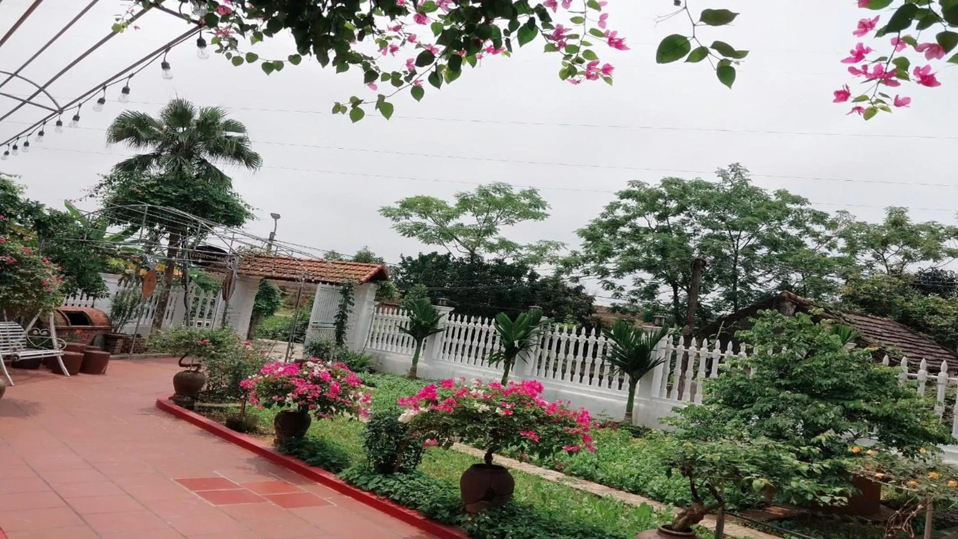 Day in Nha Xanh Homestay