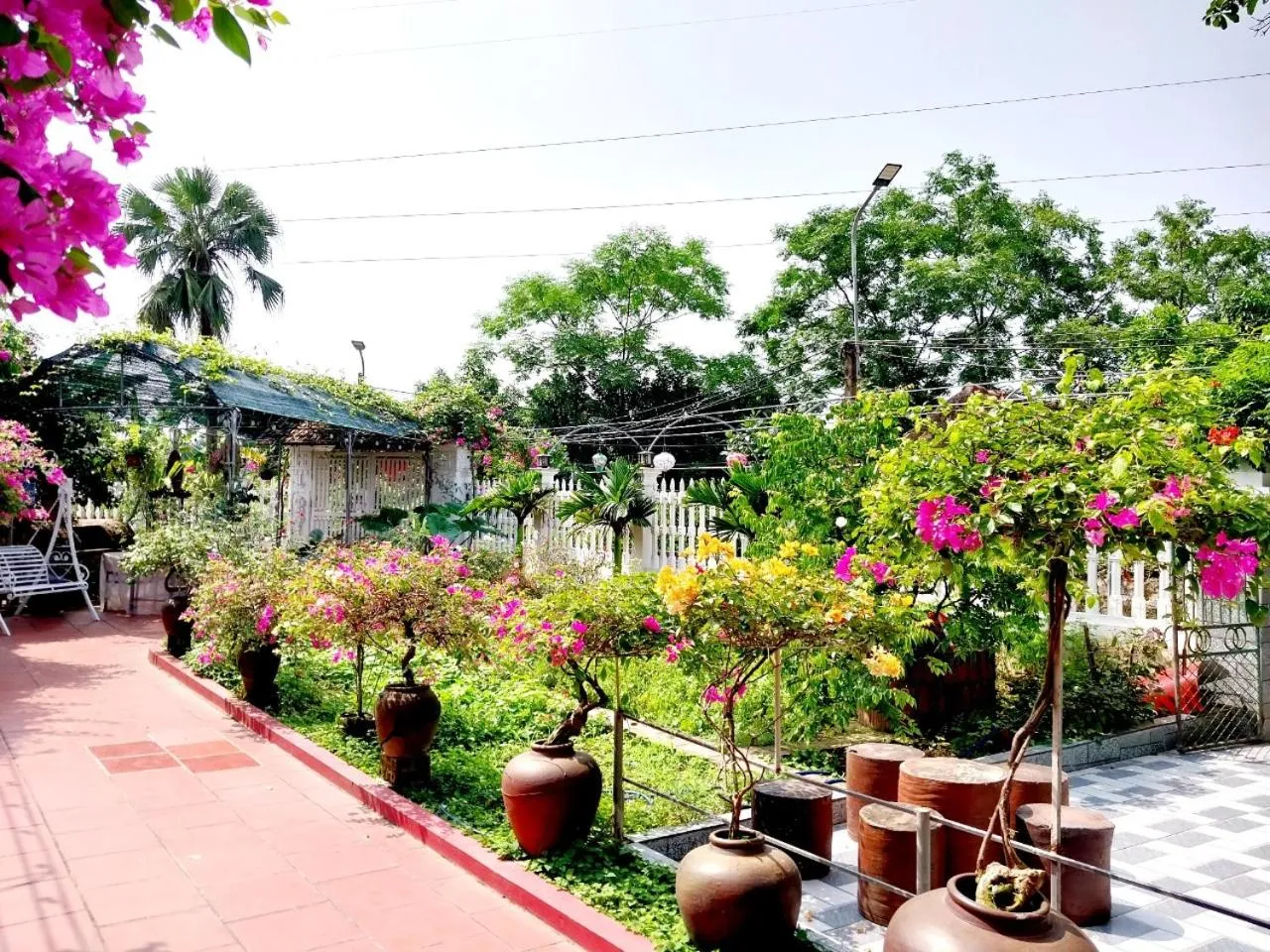 Spring in Nha Xanh Homestay