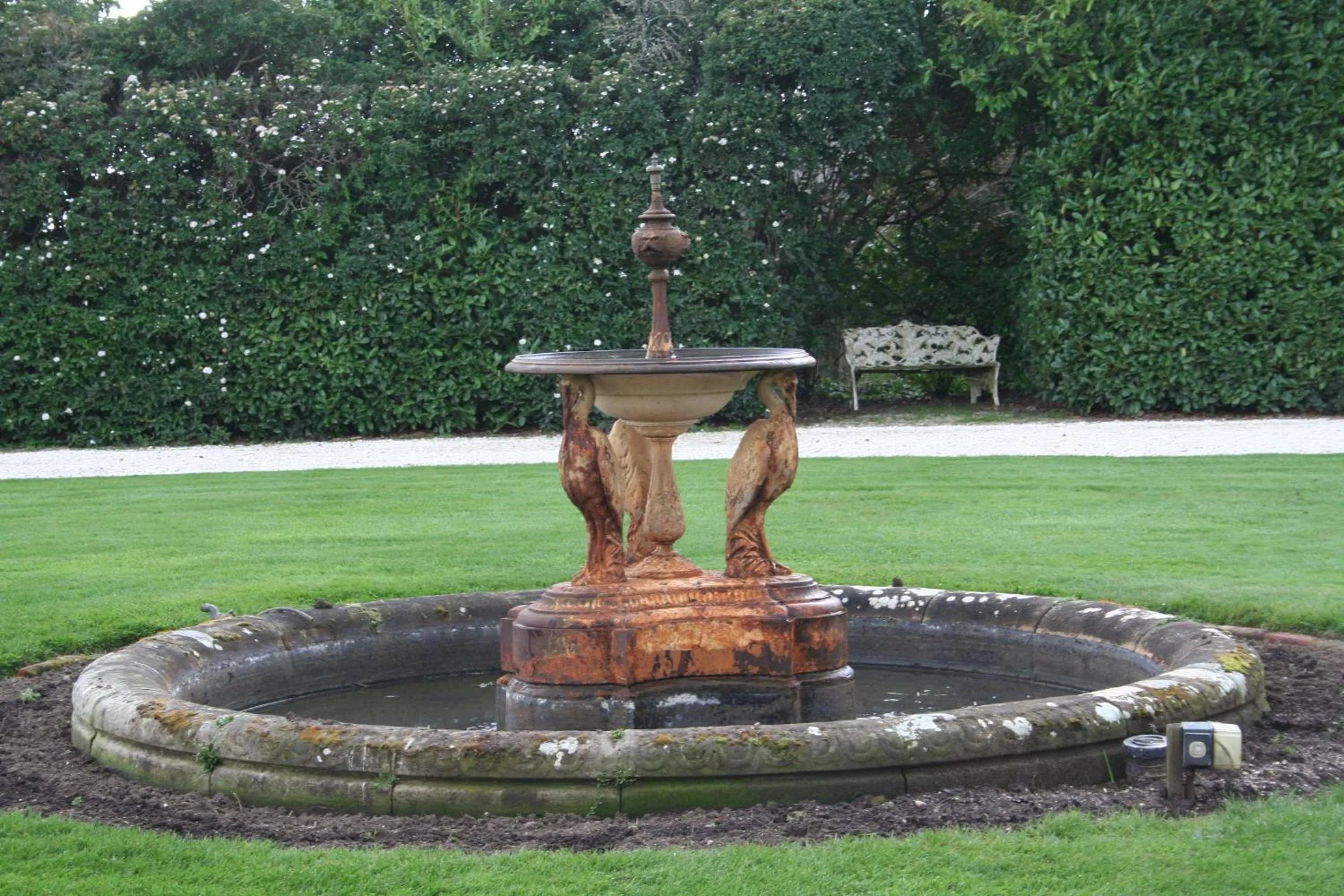 Natural landscape in Woolmers Estate