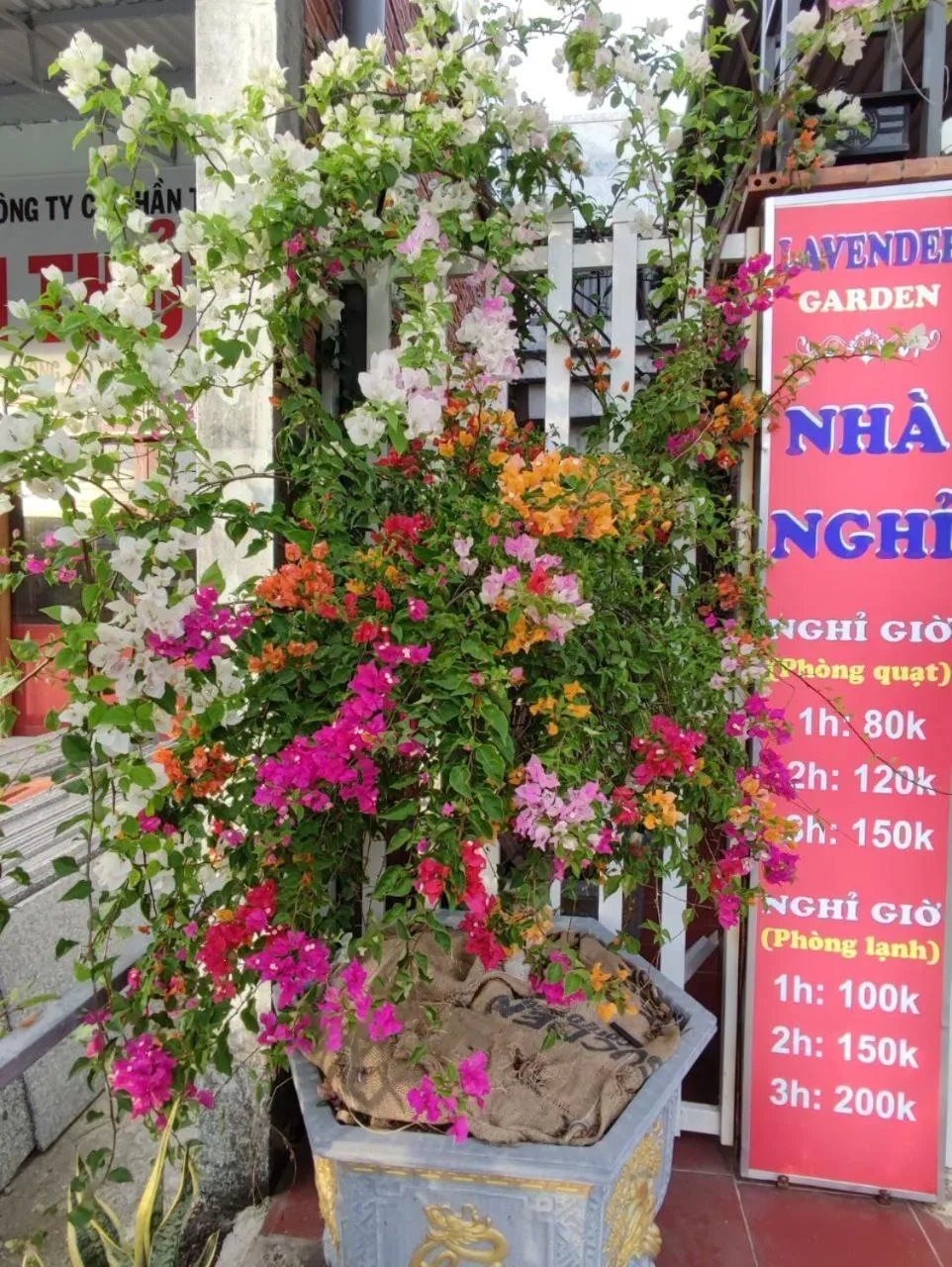 Property building in Nhà Nghỉ Vườn Oải Hương LAVENDER GARDEN GUEST HOUSE