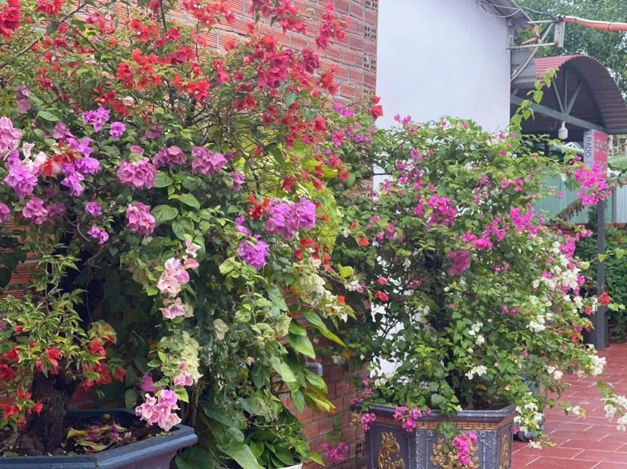 Nhà Nghỉ Vườn Oải Hương LAVENDER GARDEN GUEST HOUSE