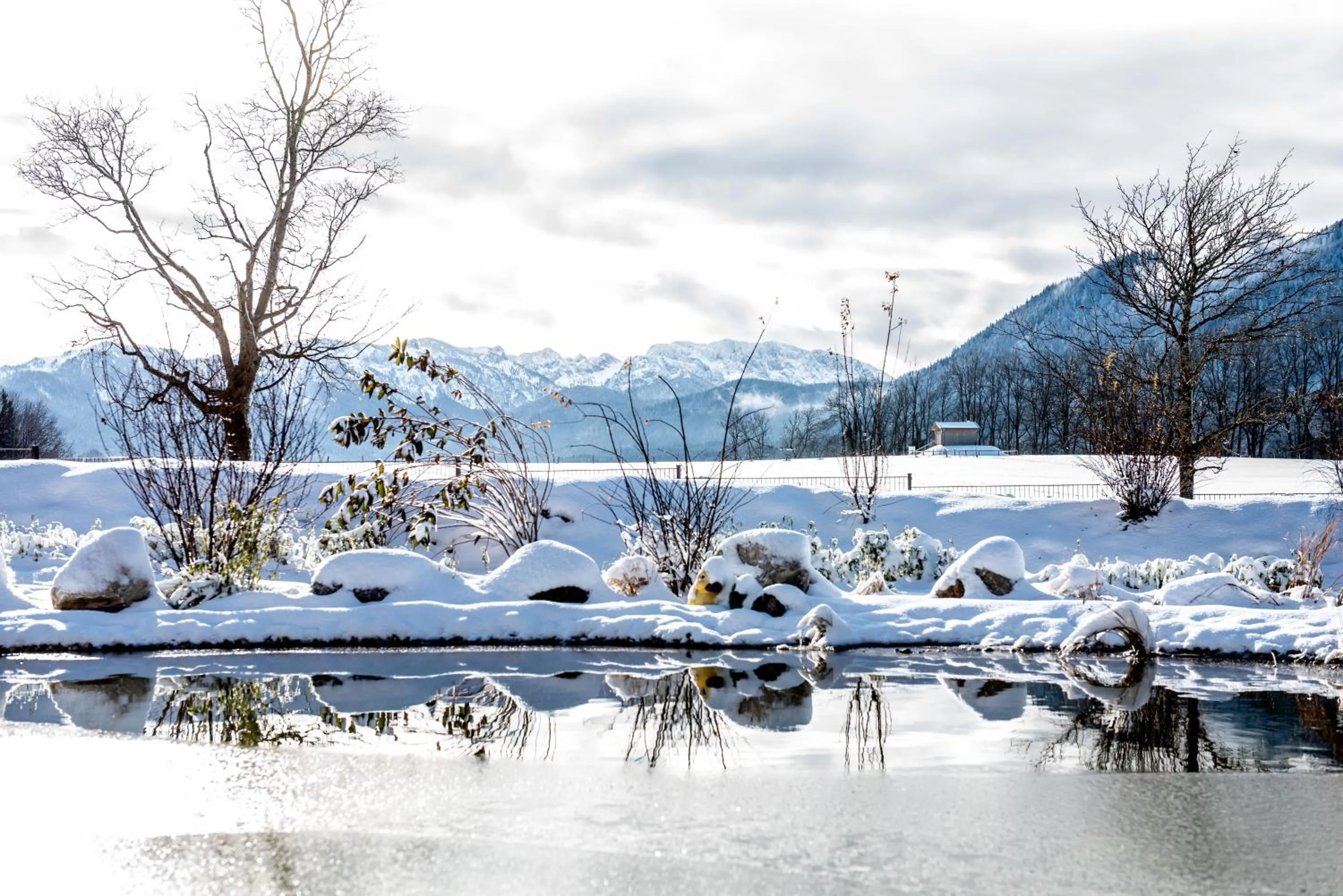 Winter in Hotel BERGEBLICK