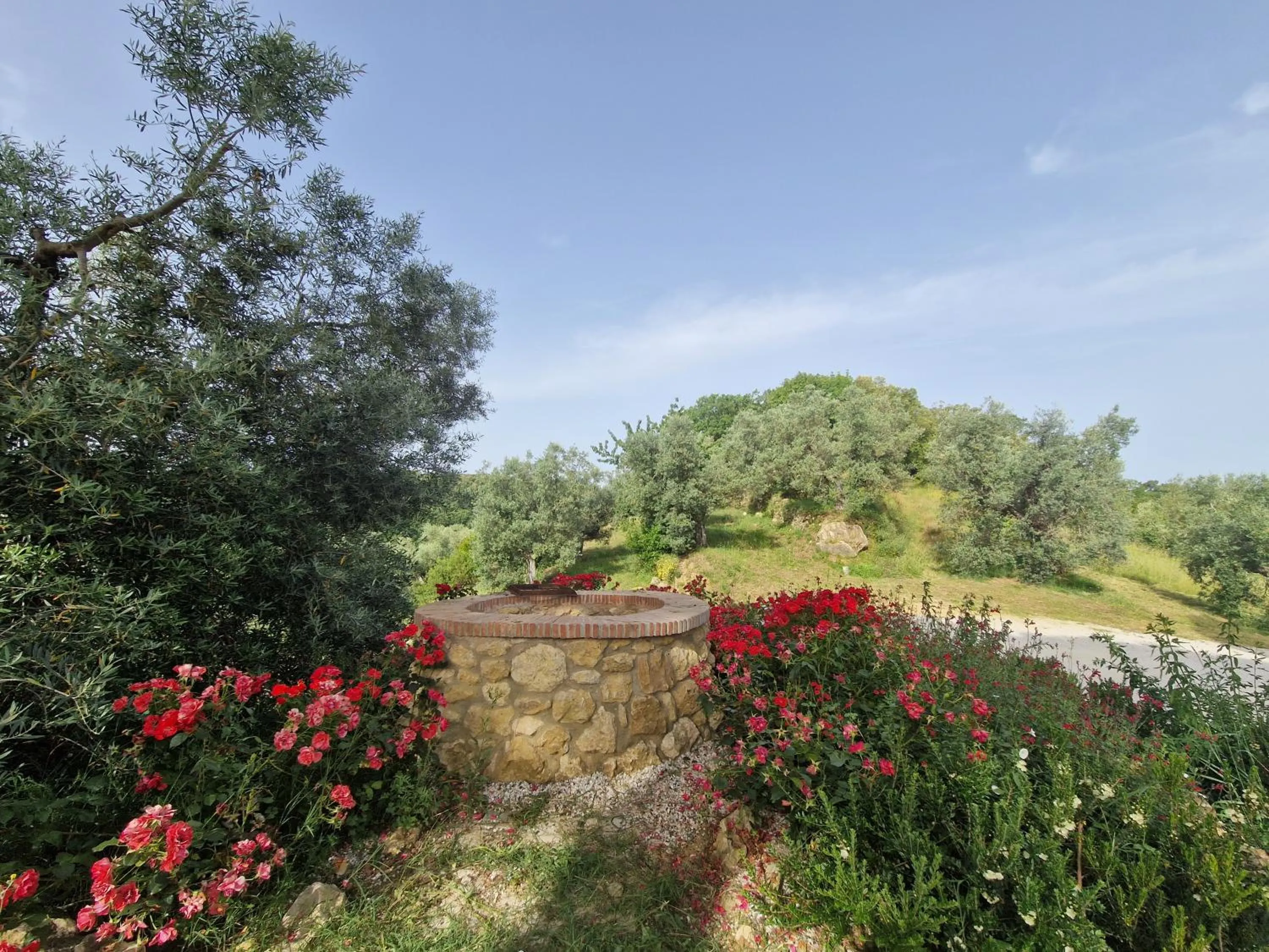 Spring in Agriturismo Ai Massi