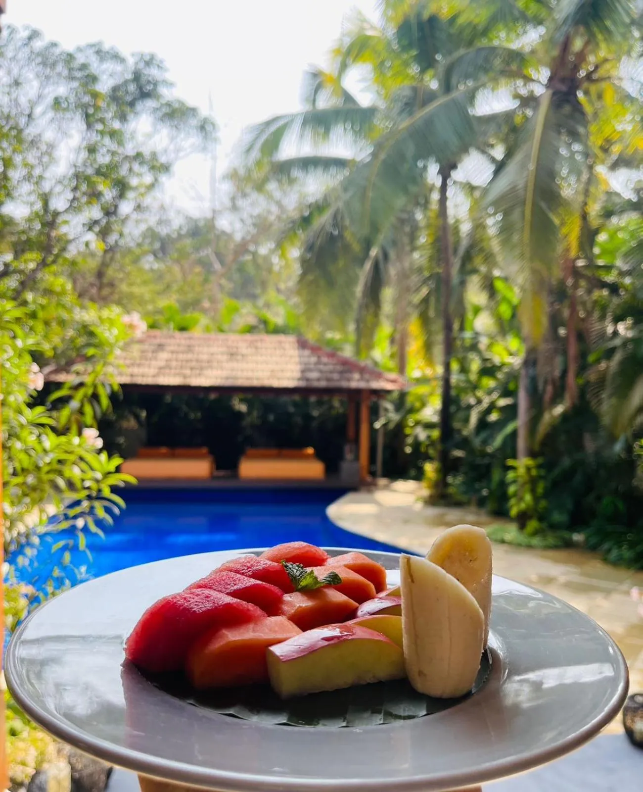 Food in The Postcard Saligao