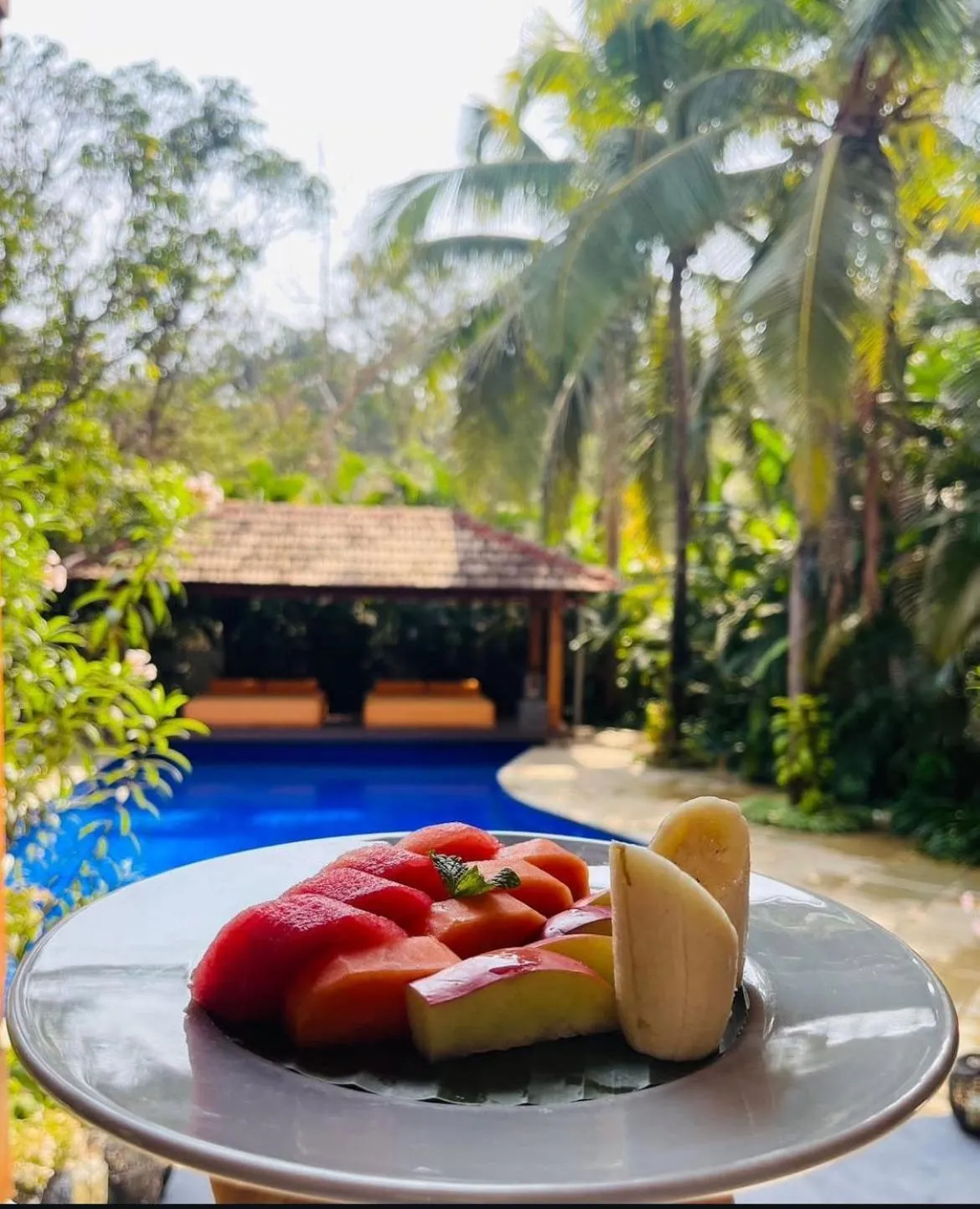 Food in The Postcard Saligao