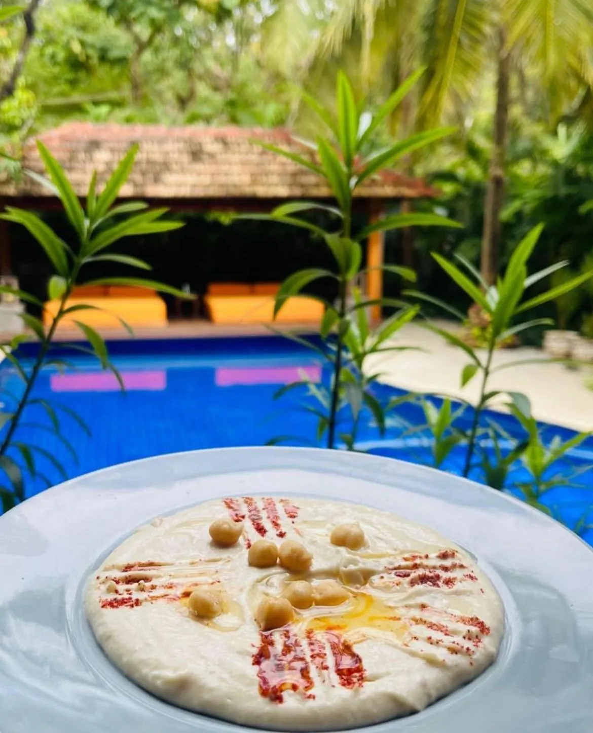 Food in The Postcard Saligao