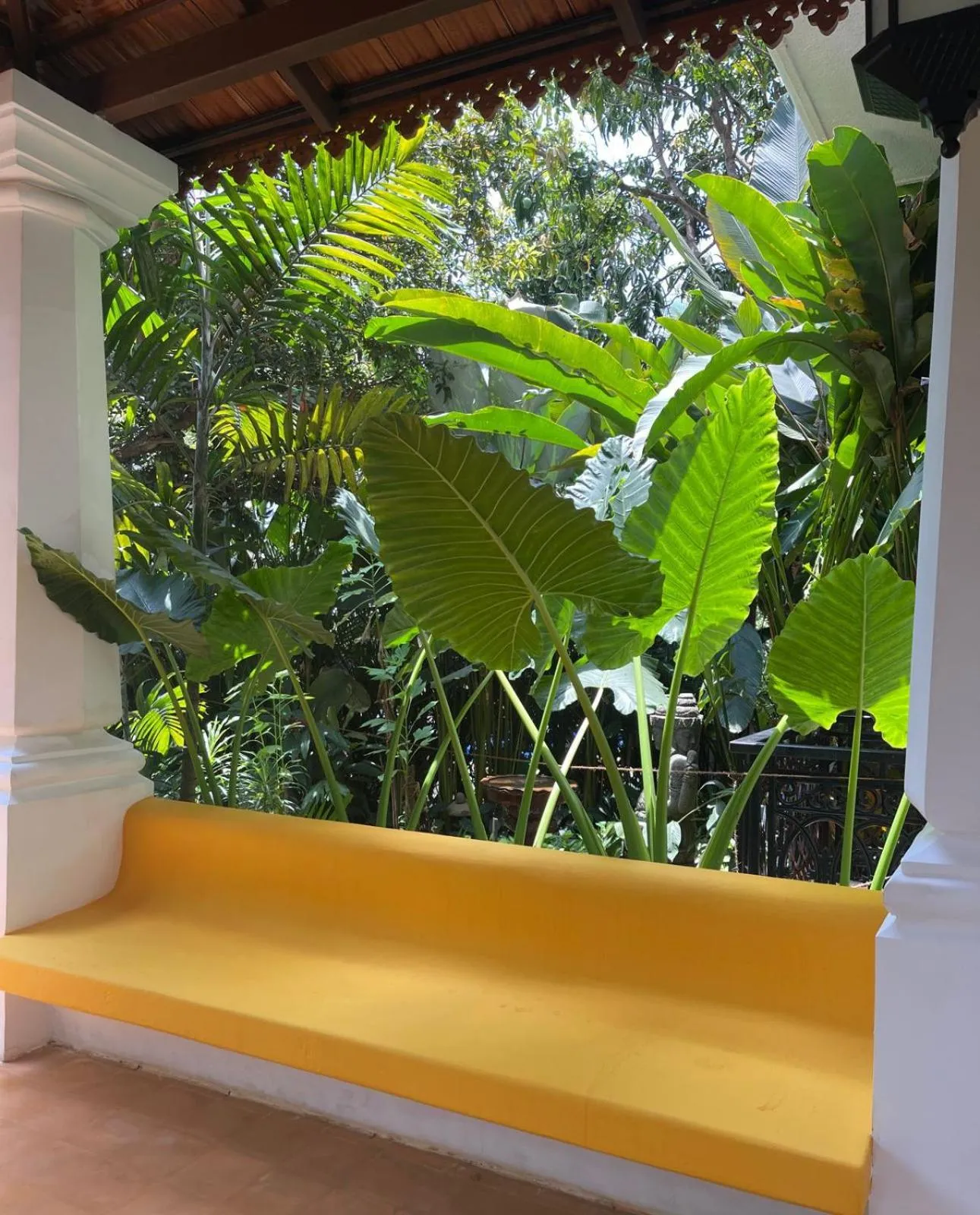 Garden in The Postcard Saligao