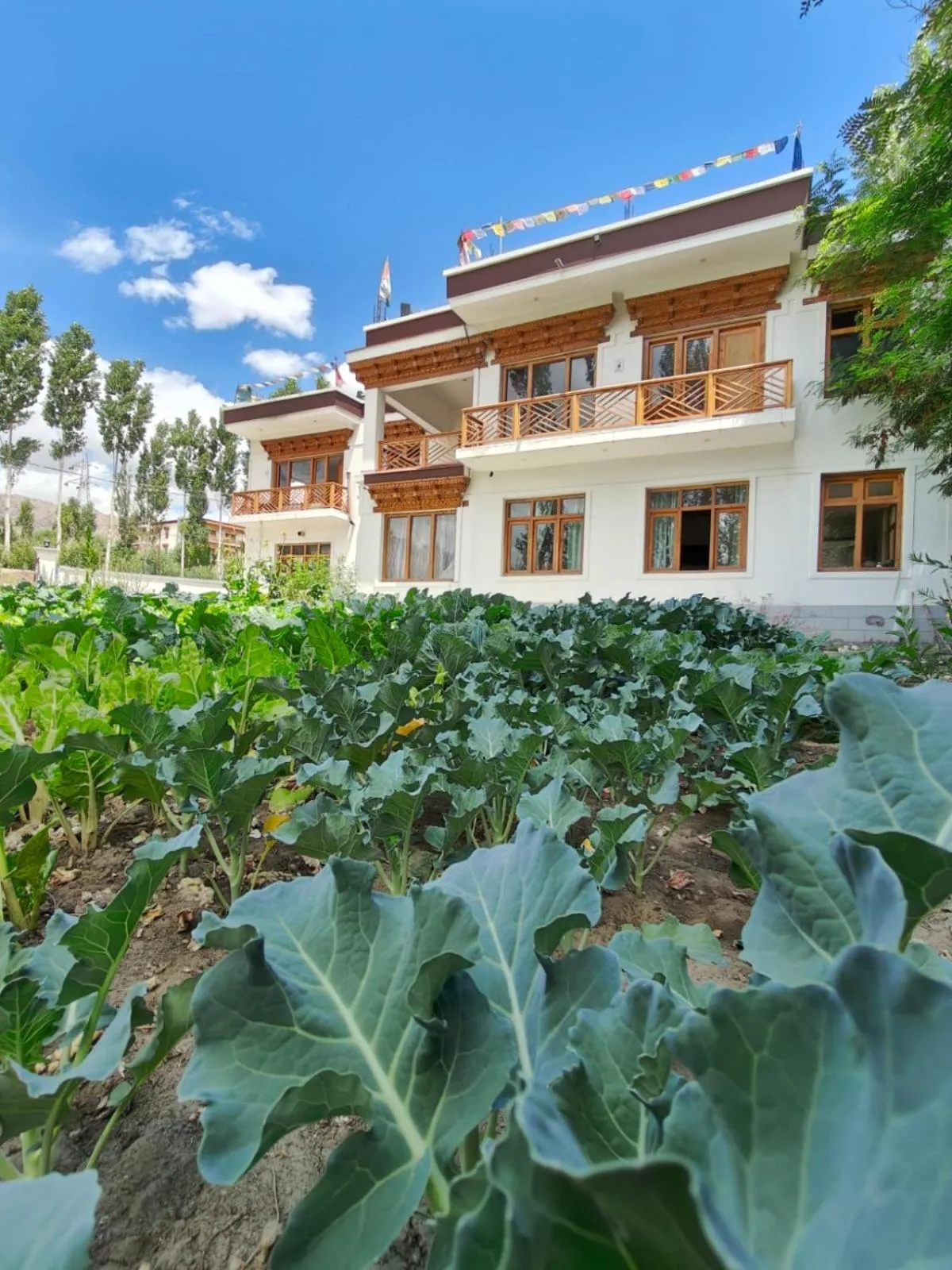 Property building in LADAKH ODYSSEY Hotel