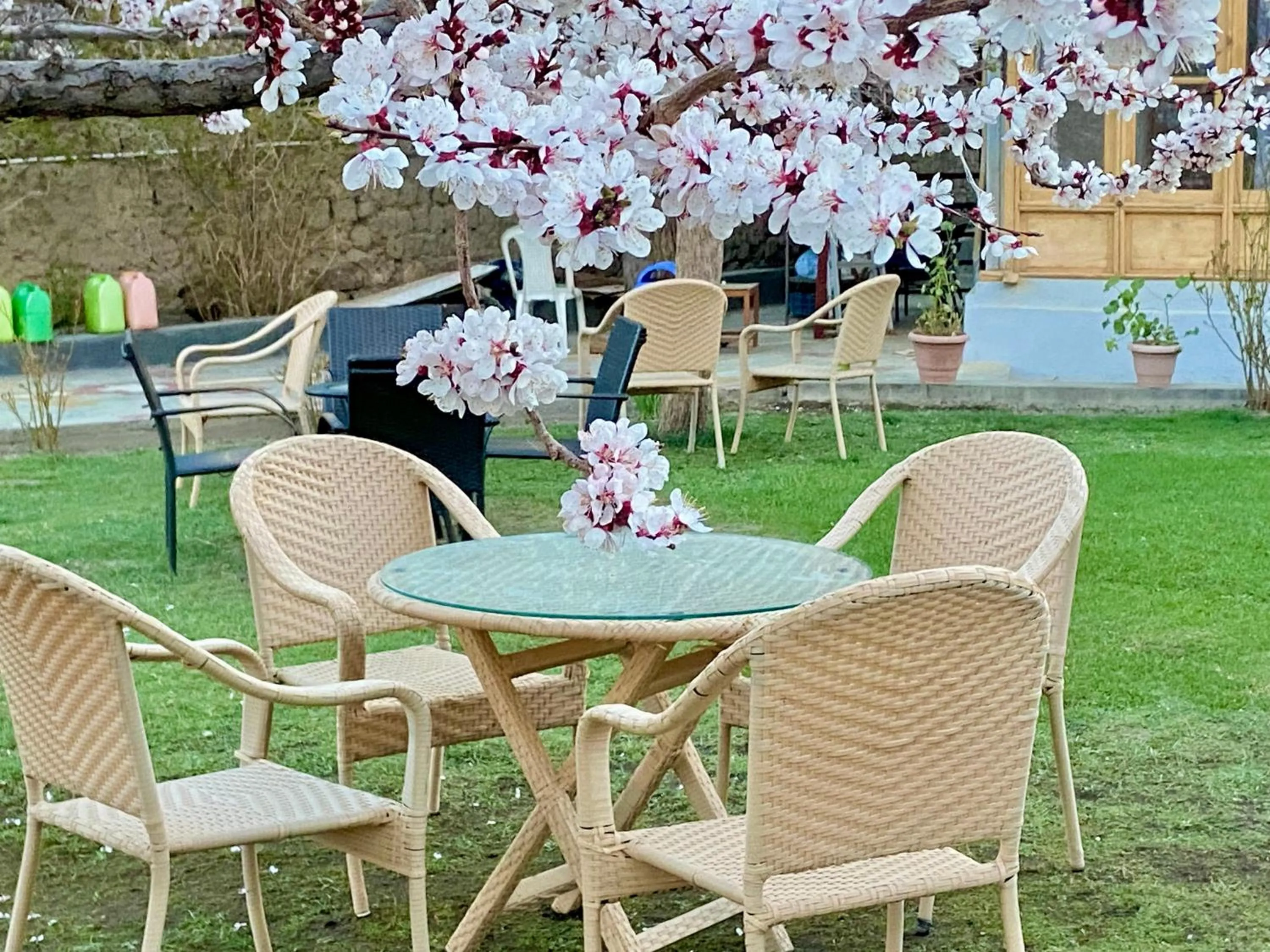 Spring in Hotel Palam Hills