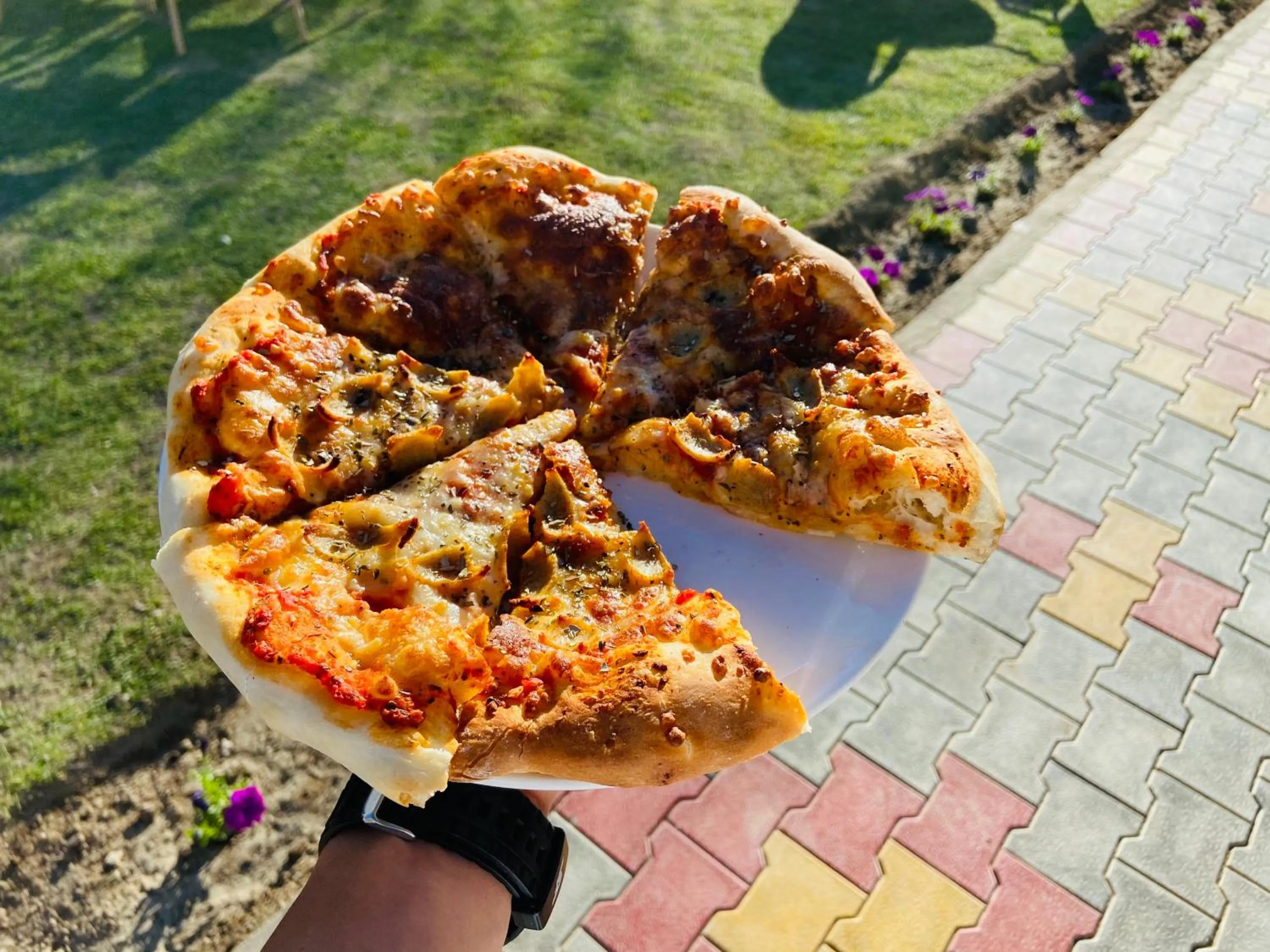 Restaurant/places to eat in Hotel Palam Hills