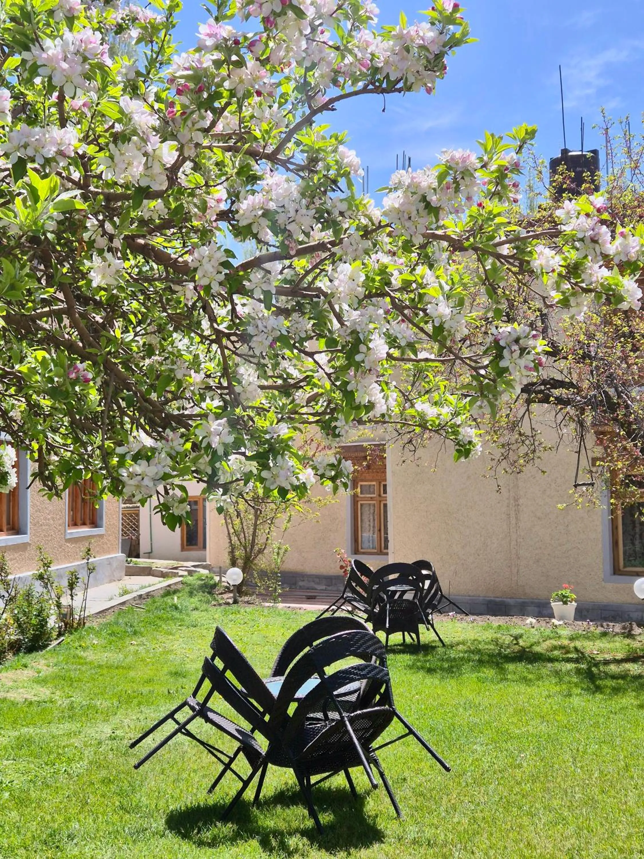 Garden in Hotel Palam Hills