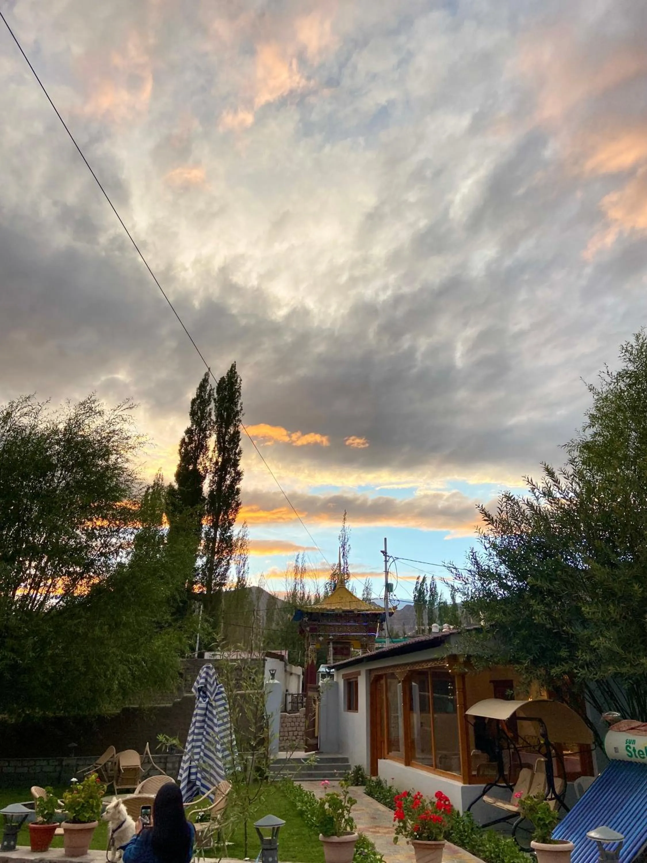 Restaurant/places to eat in Hotel Palam Hills