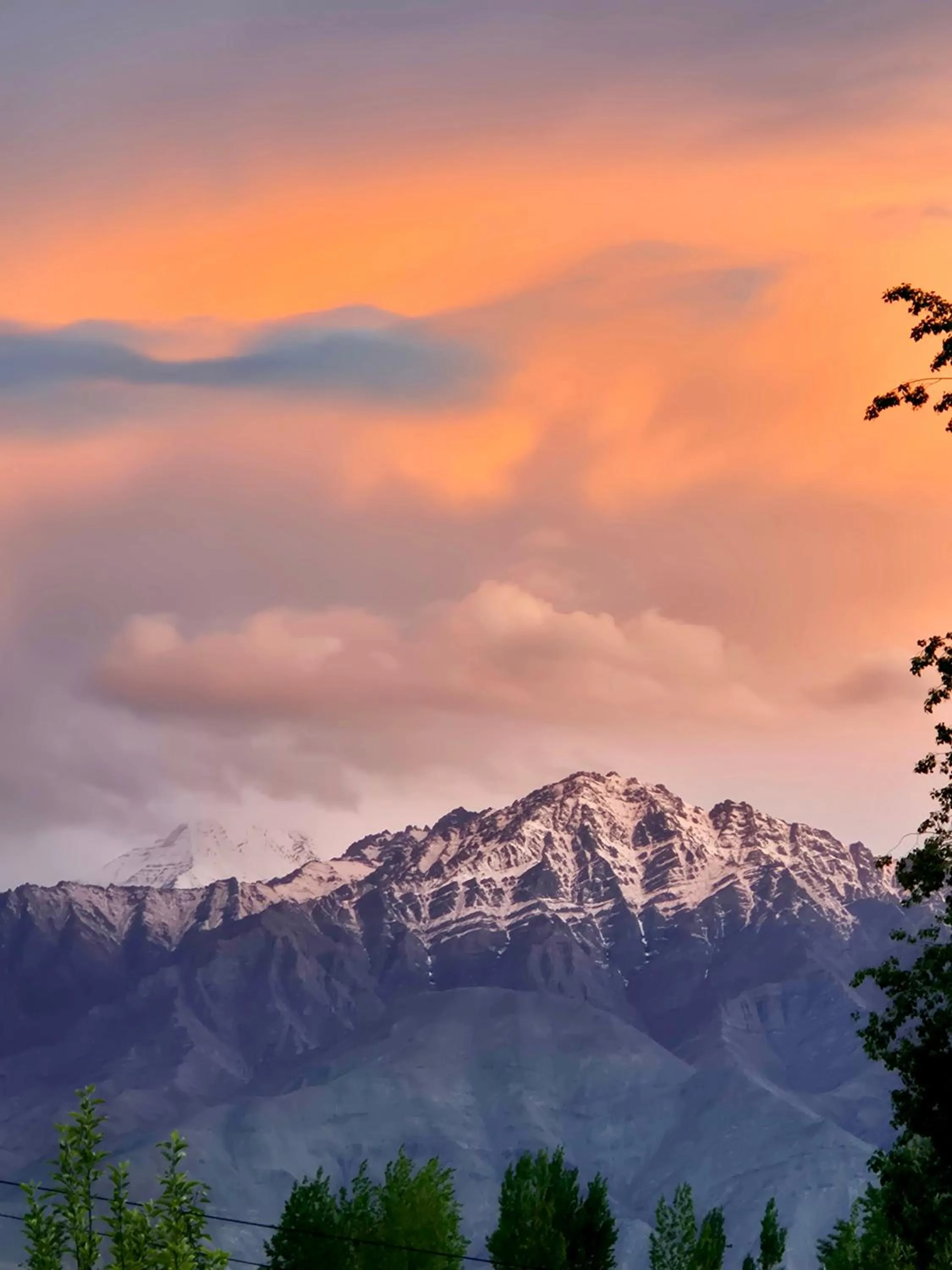 View (from property/room) in Hotel Palam Hills