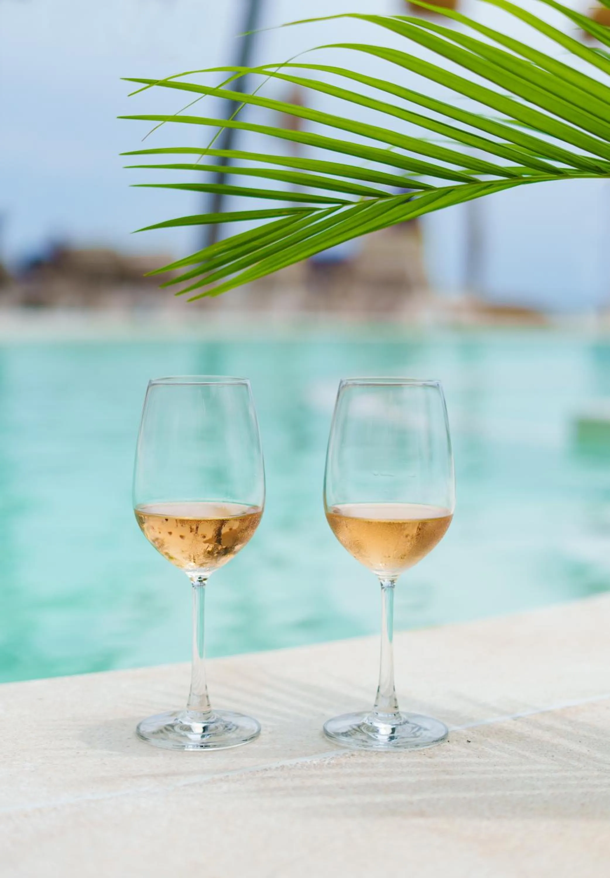 Day in Elephant Beach Club & Resort Samui