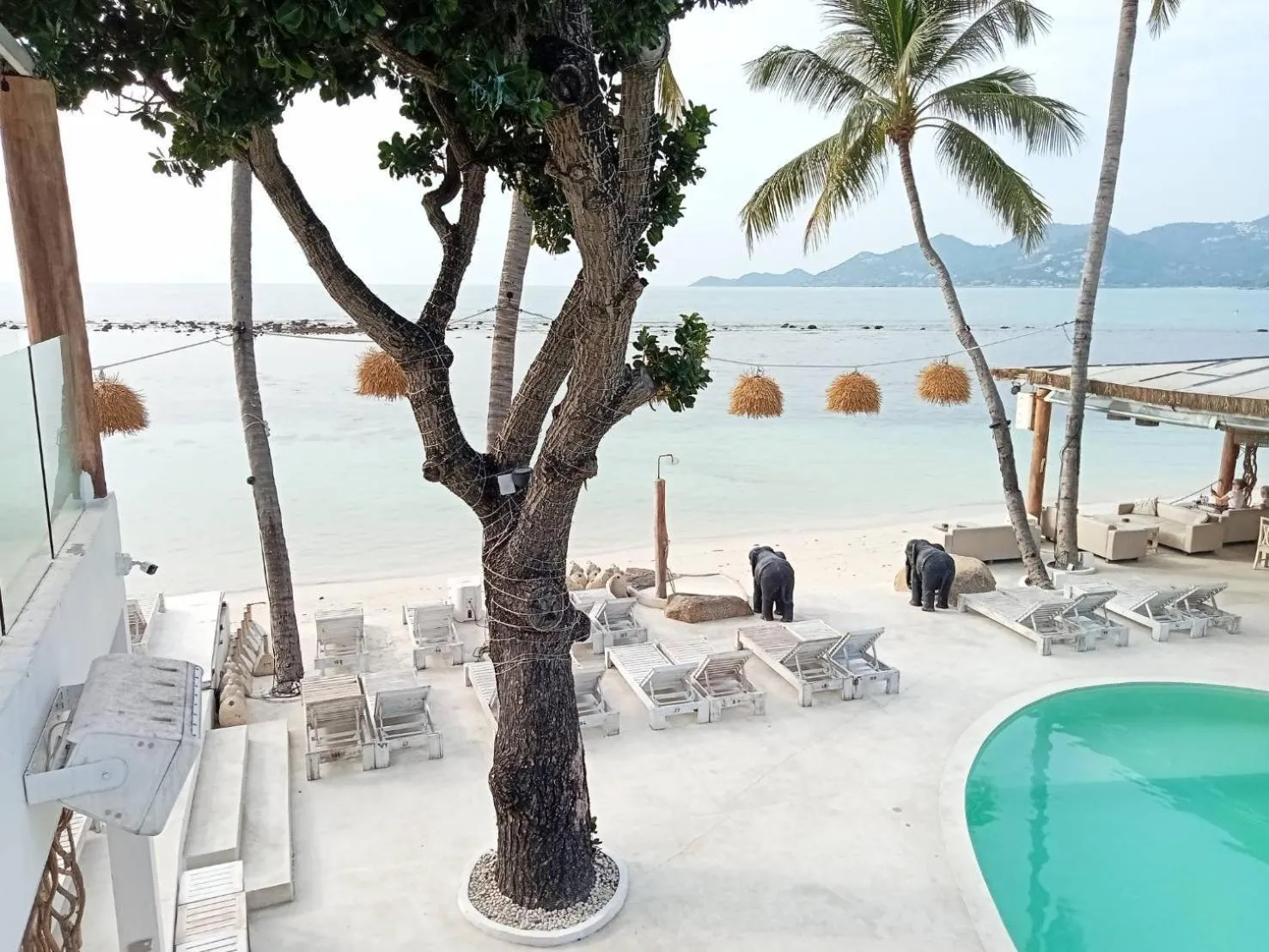 Day in Elephant Beach Club & Resort Samui