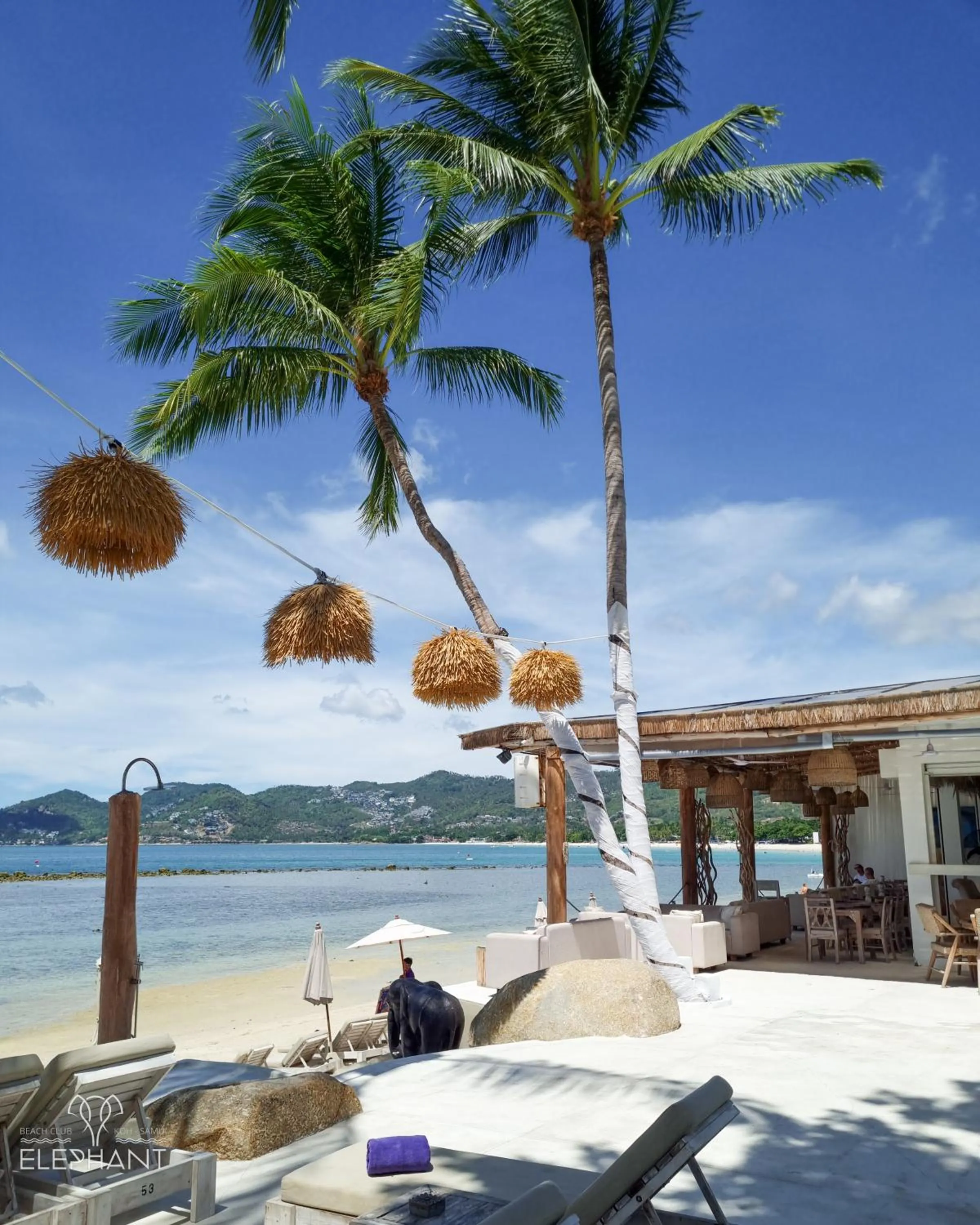 Day in Elephant Beach Club & Resort Samui