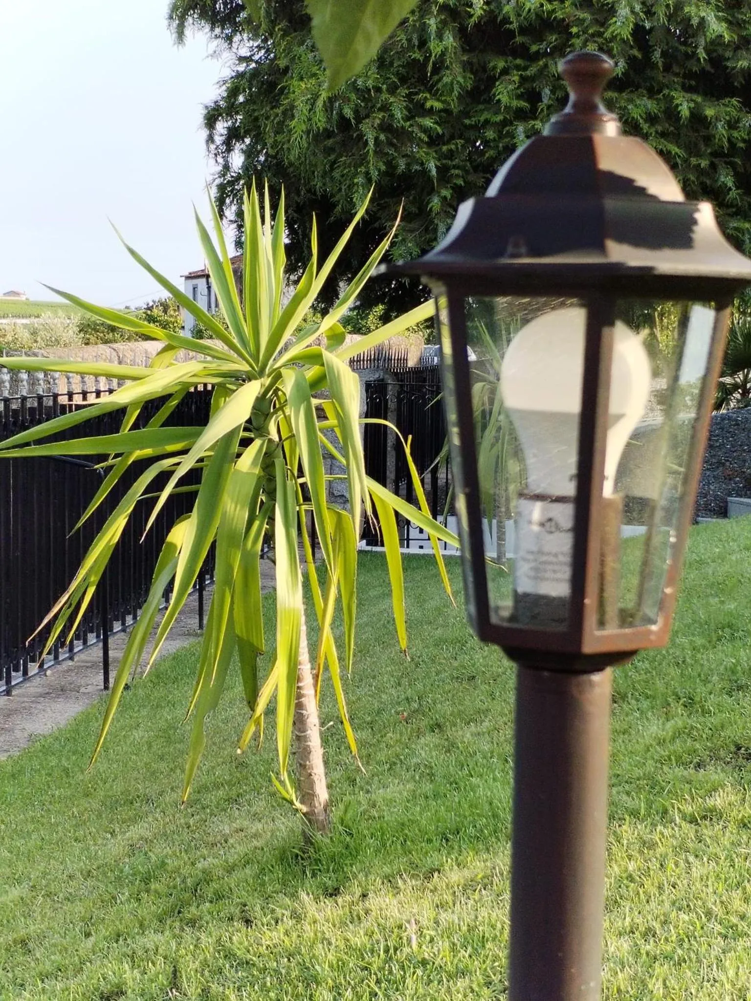 Natural landscape in Quinta da Costinha