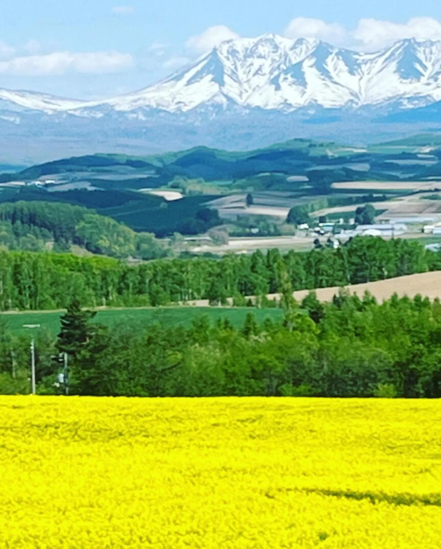 Spring in Chill Village