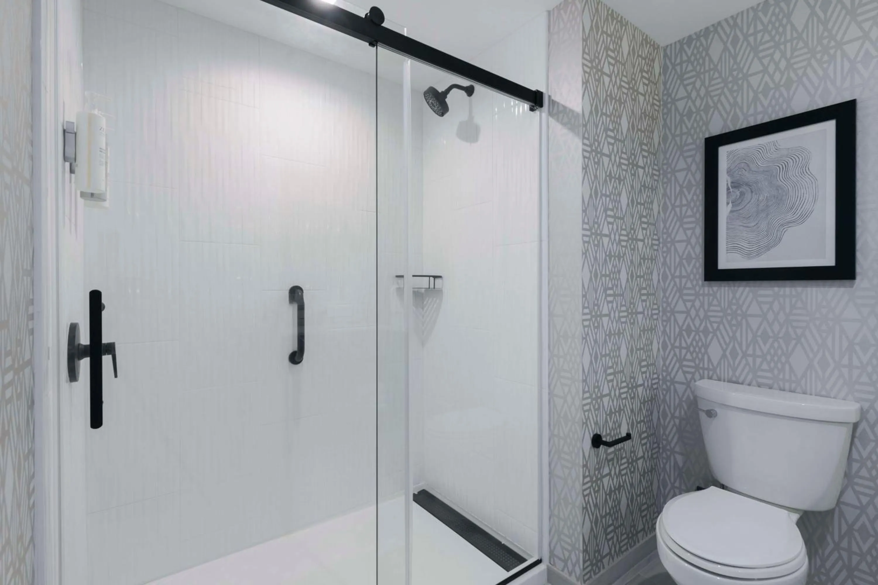 Shower in Embassy Suites By Hilton Asheville Downtown