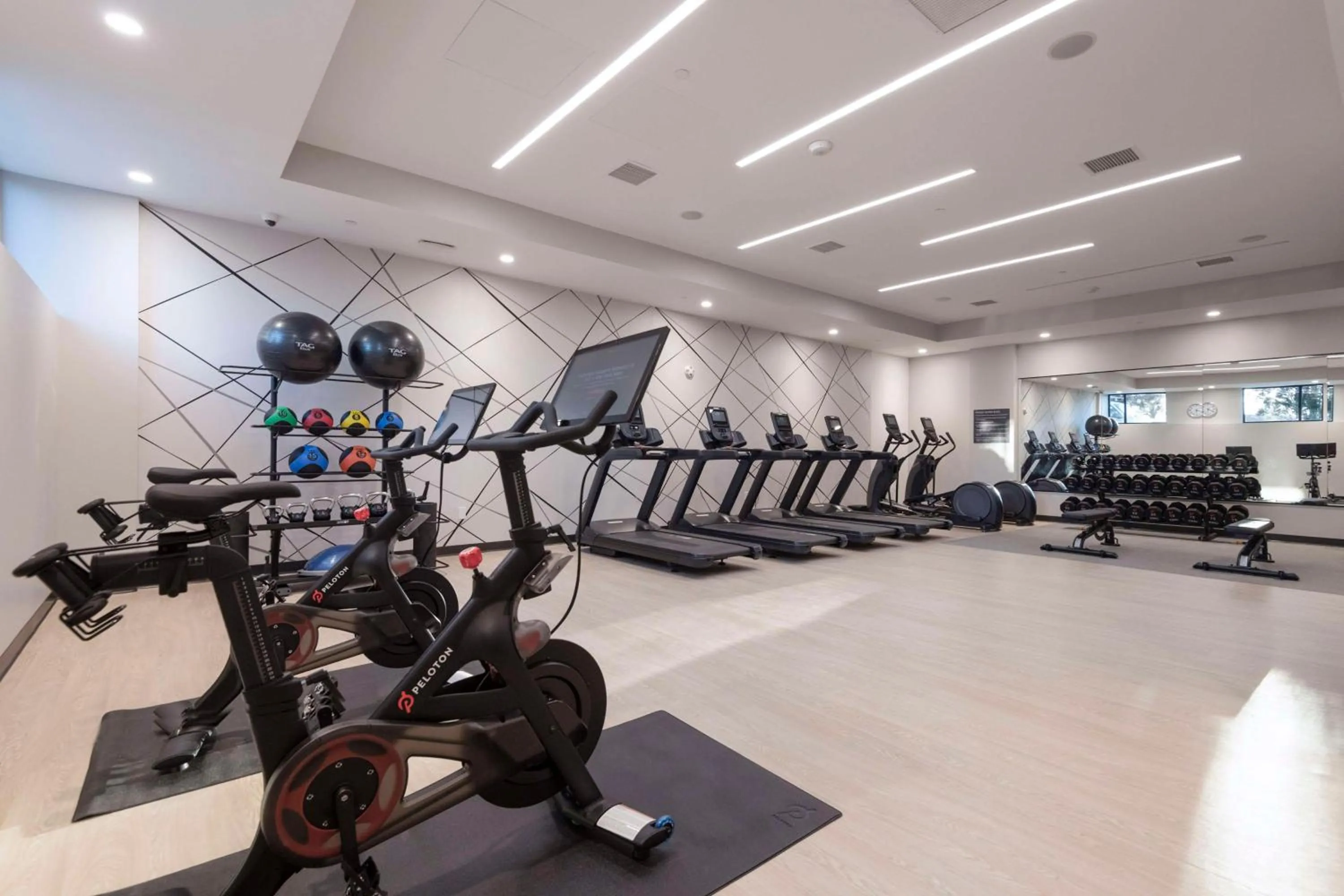 Fitness centre/facilities in Embassy Suites By Hilton Asheville Downtown