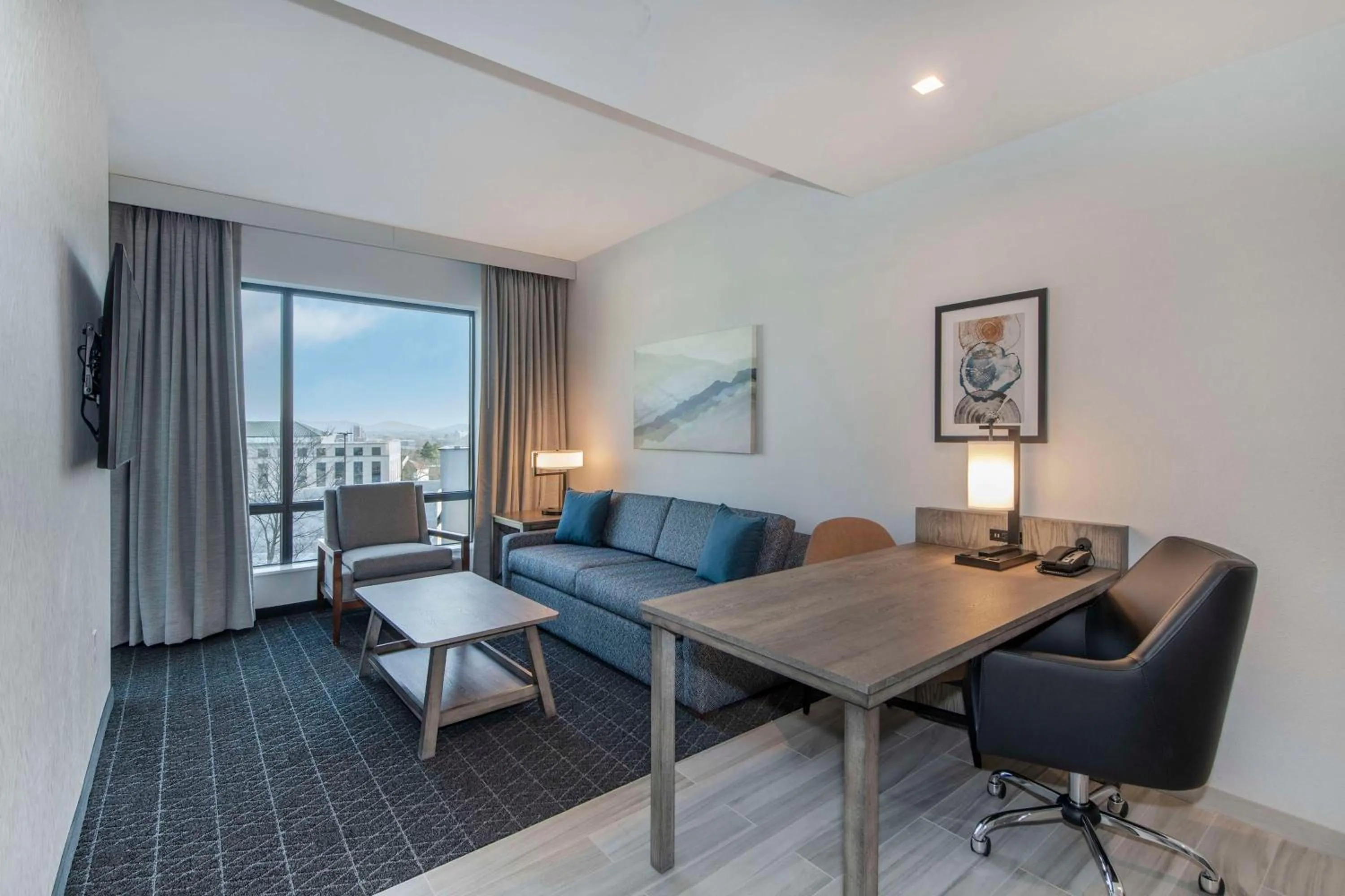 TV and multimedia in Embassy Suites By Hilton Asheville Downtown