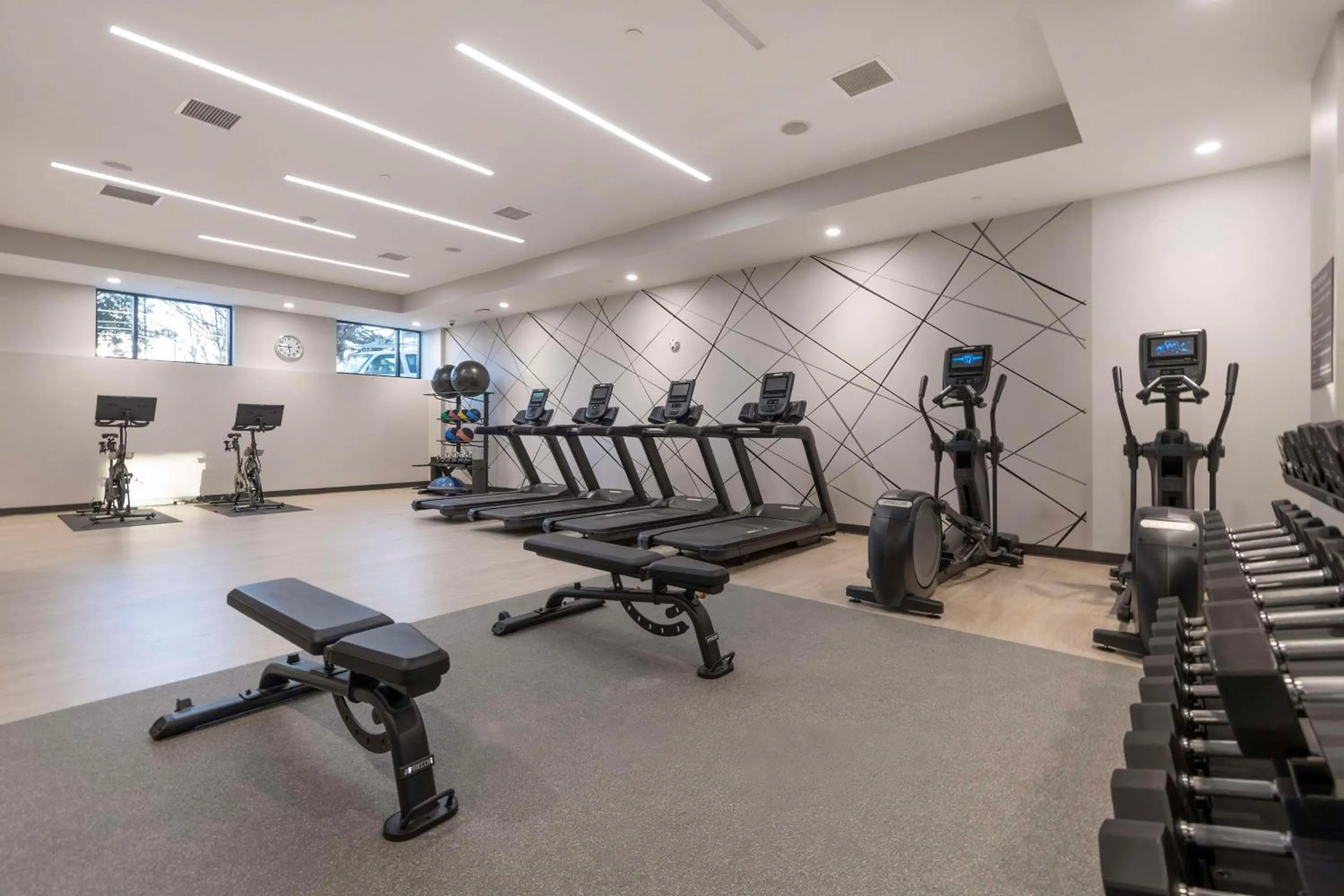 Fitness centre/facilities in Embassy Suites By Hilton Asheville Downtown