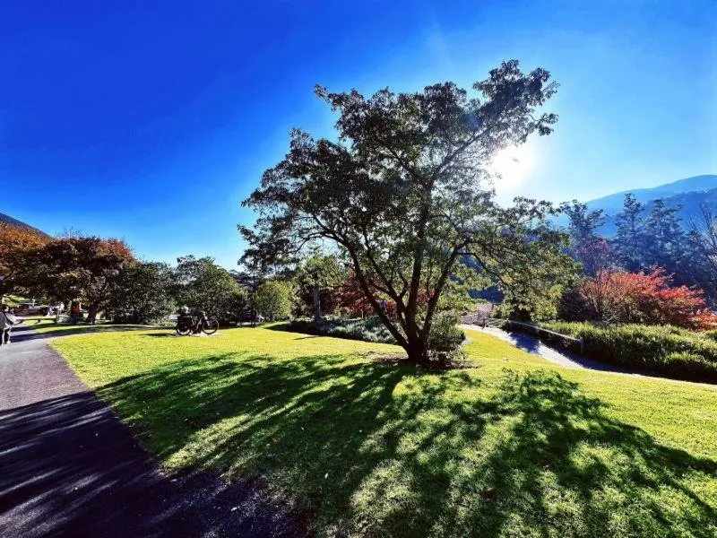 Garden in Green Gables Motel in Warburton