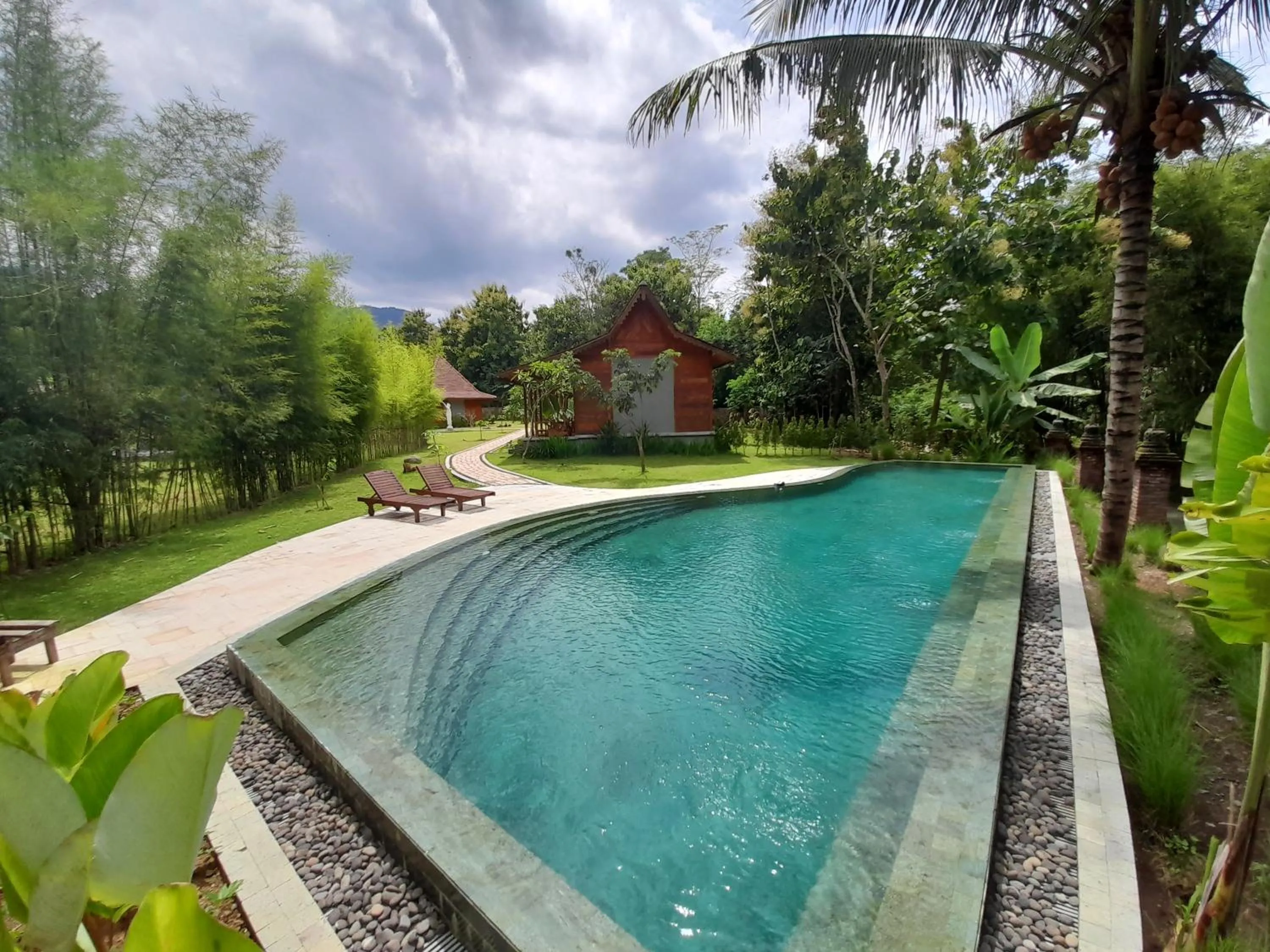 Pool view in Chandaka Borobudur