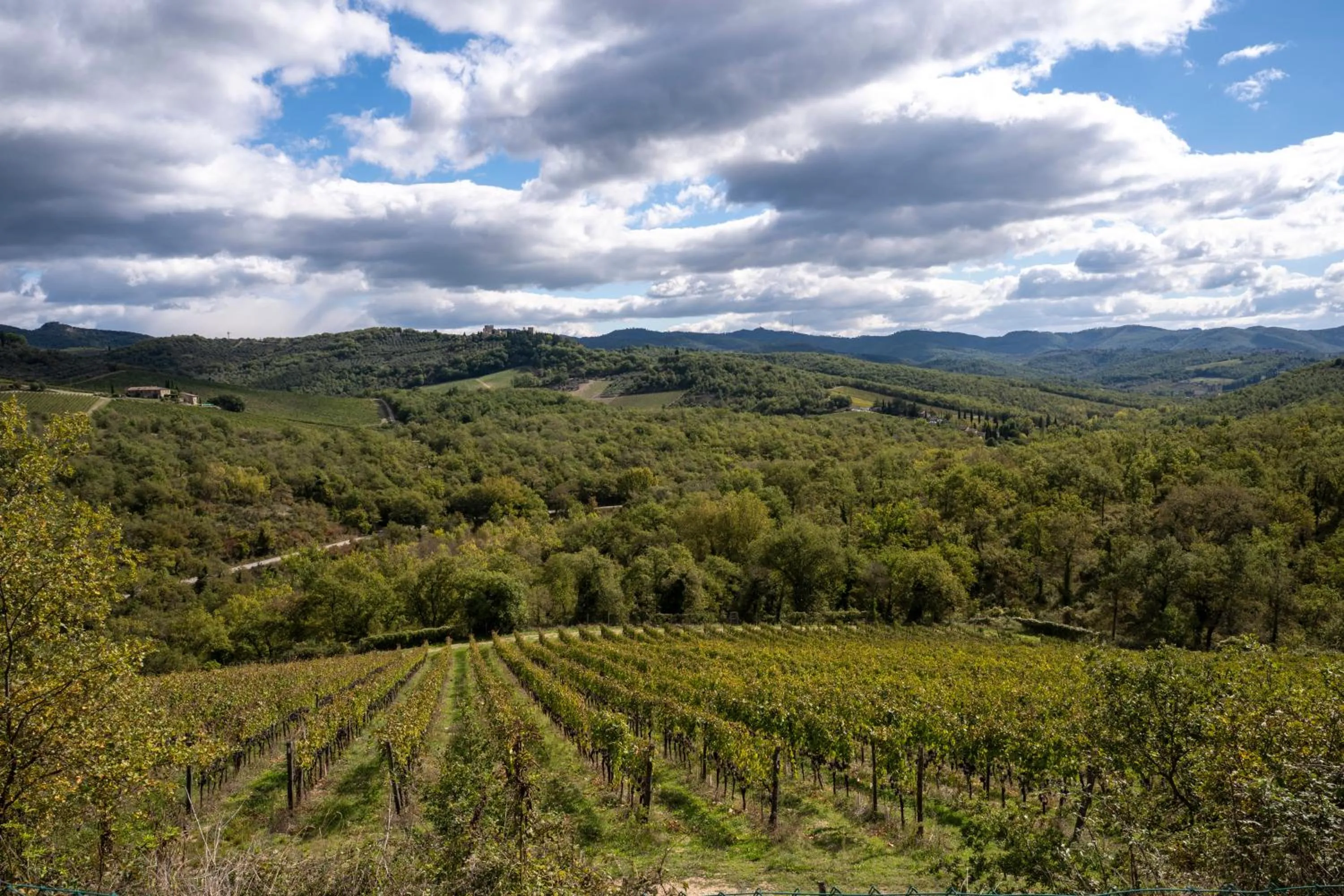 Borgo Le Noci Chianti Retreat & Pool