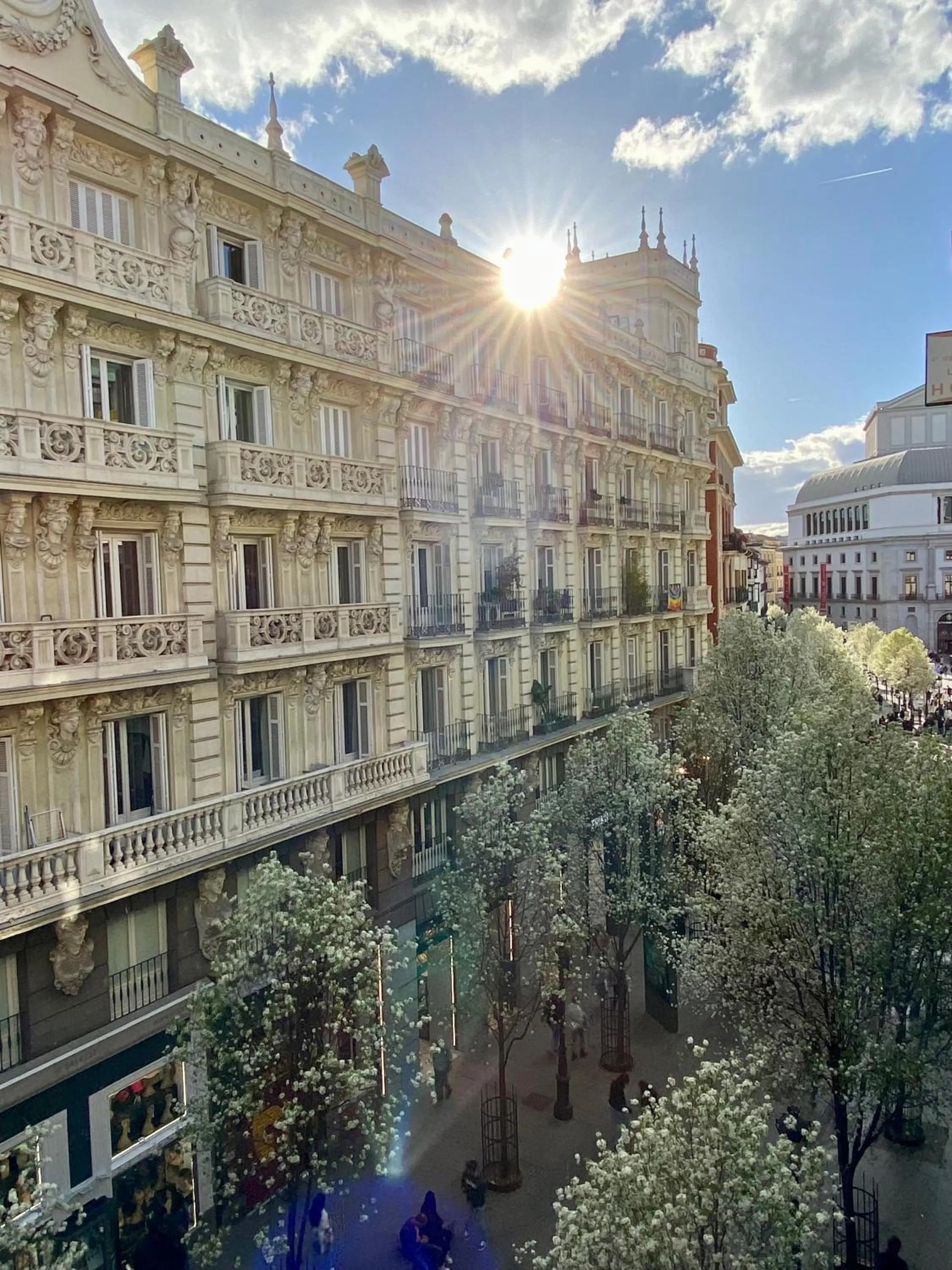 SabiaNatura - boutiqueMadrid