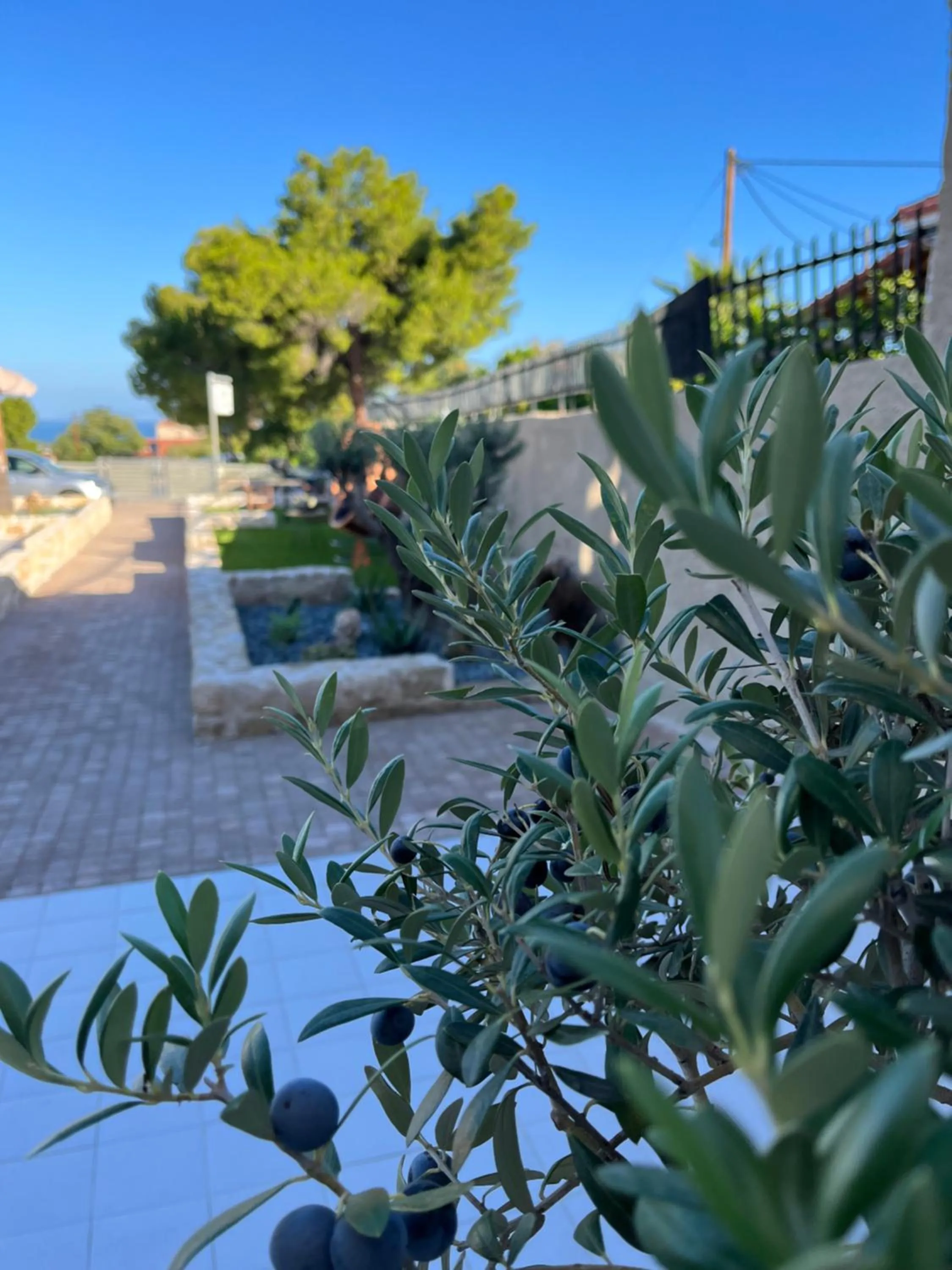 Spring in Octavia Rooms