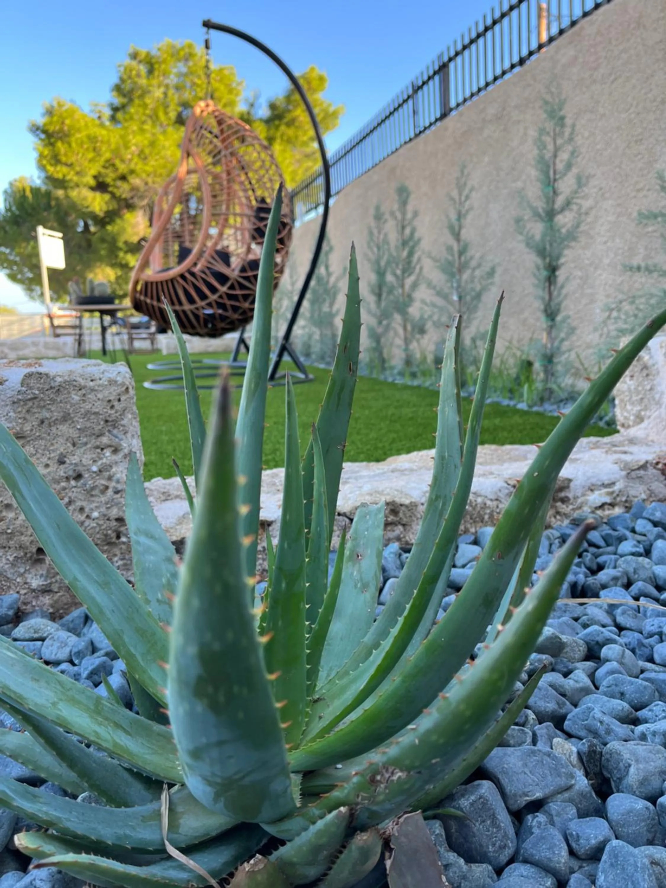 Garden in Octavia Rooms
