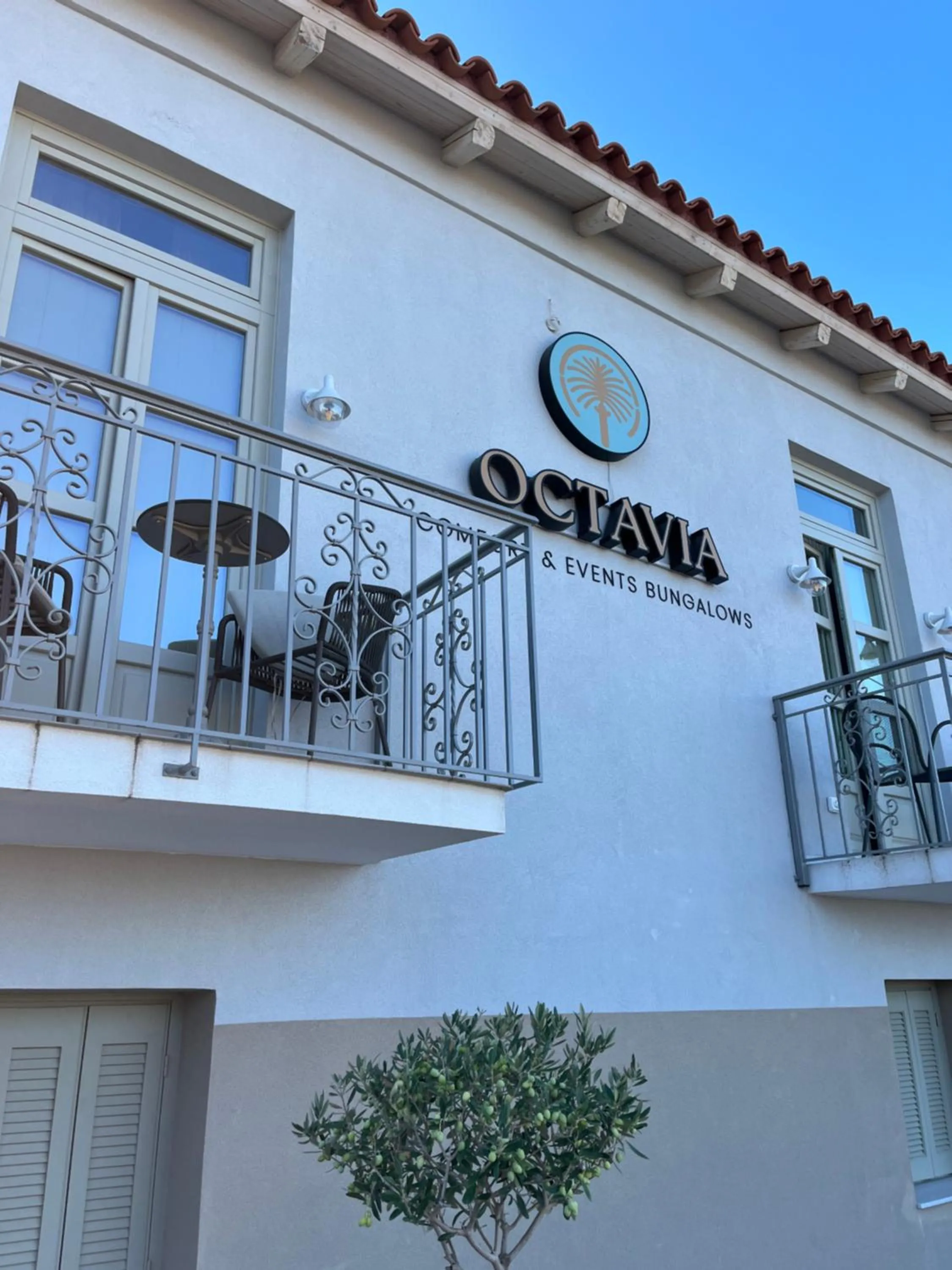 Property building in Octavia Rooms