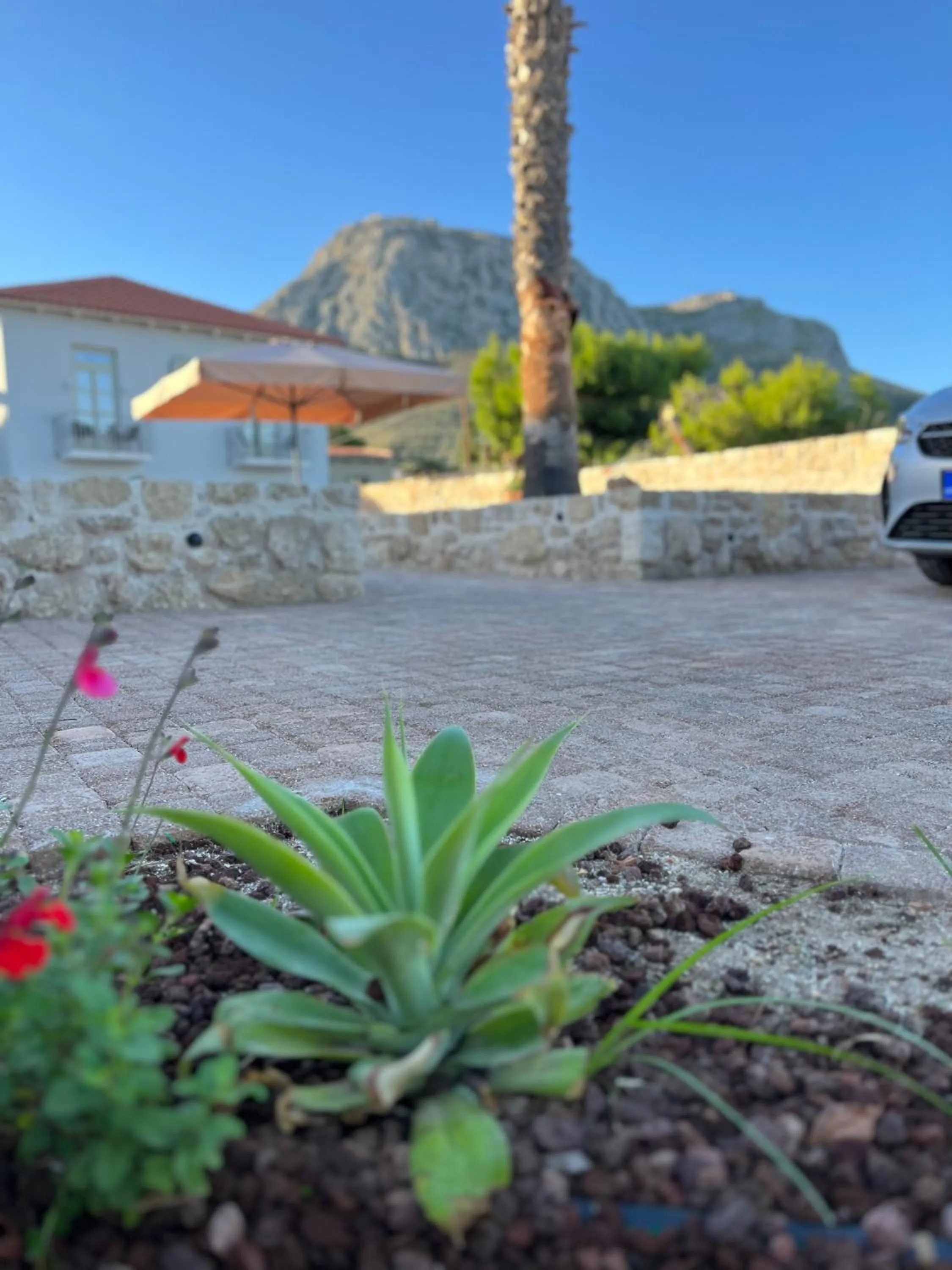 Property building in Octavia Rooms