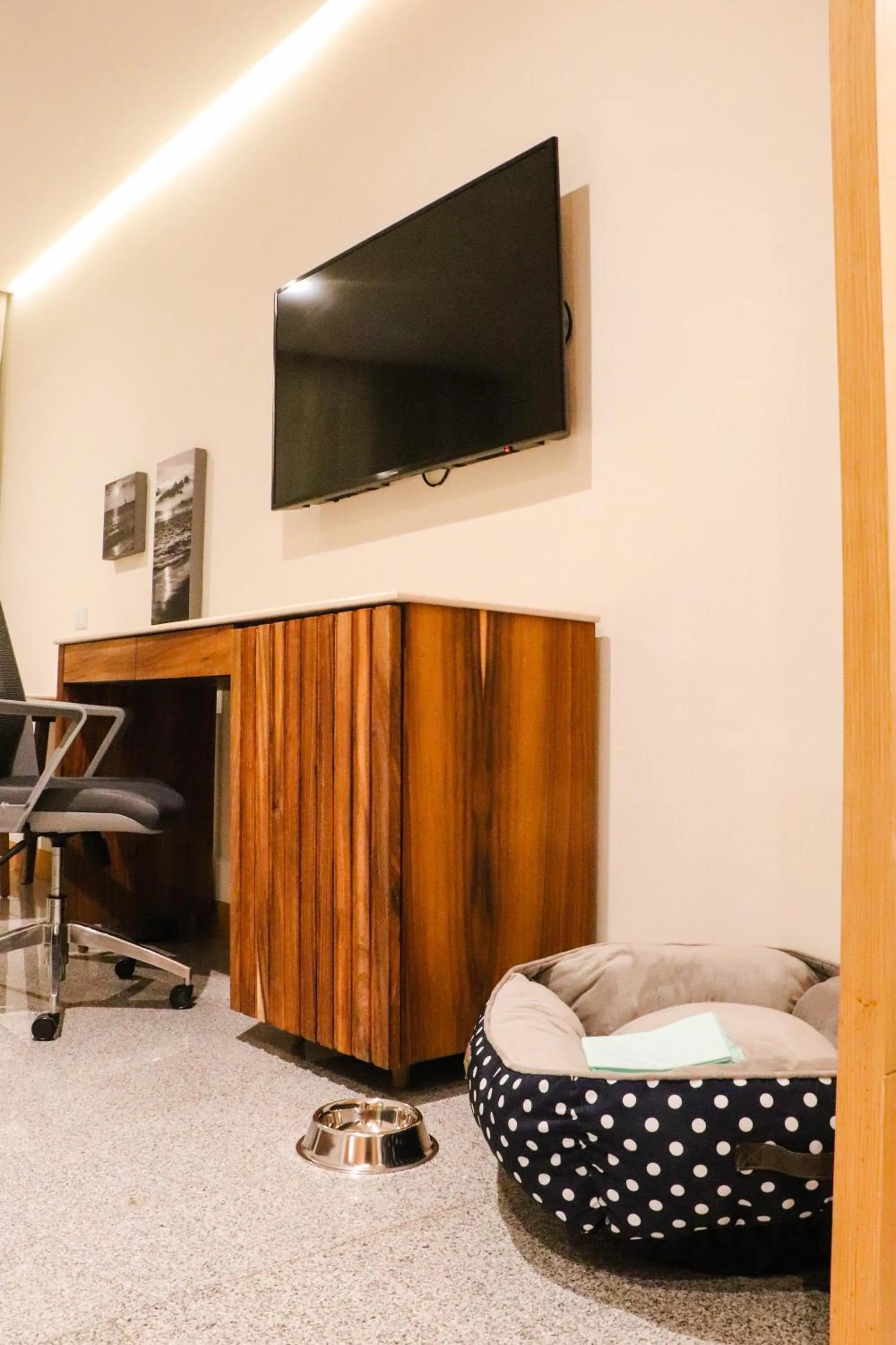 Pets in Hotel Mio Riviera Nayarit - Adults Only