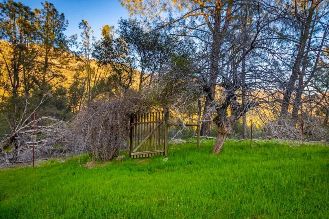 Sierra Vista Lookout Lodge with Creek, Waterfall and Waterholes, minutes from Bass Lake and Yosemite South Gate